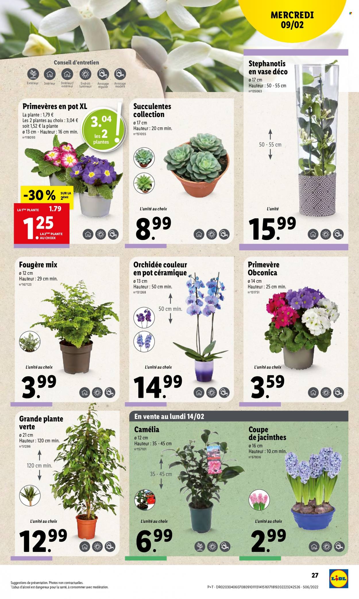 Catalogue Lidl - 09/02/2022 - 15/02/2022. Page 31