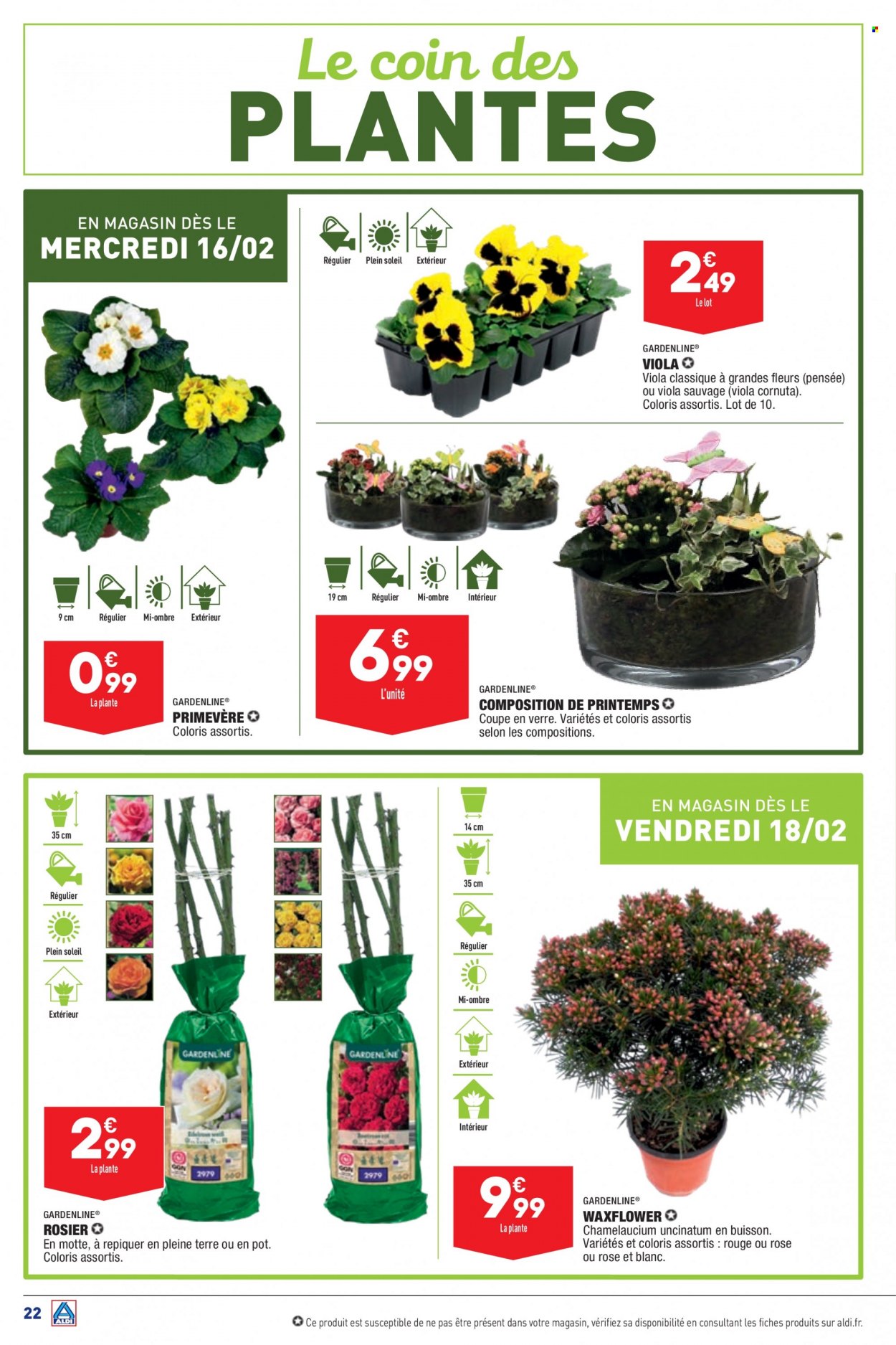 Catalogue ALDI - 15/02/2022 - 21/02/2022. Page 24