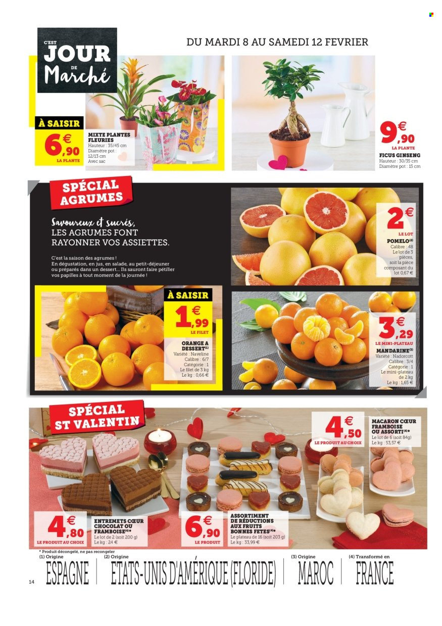 Catalogue SUPER U - 08/02/2022 - 19/02/2022. Page 14
