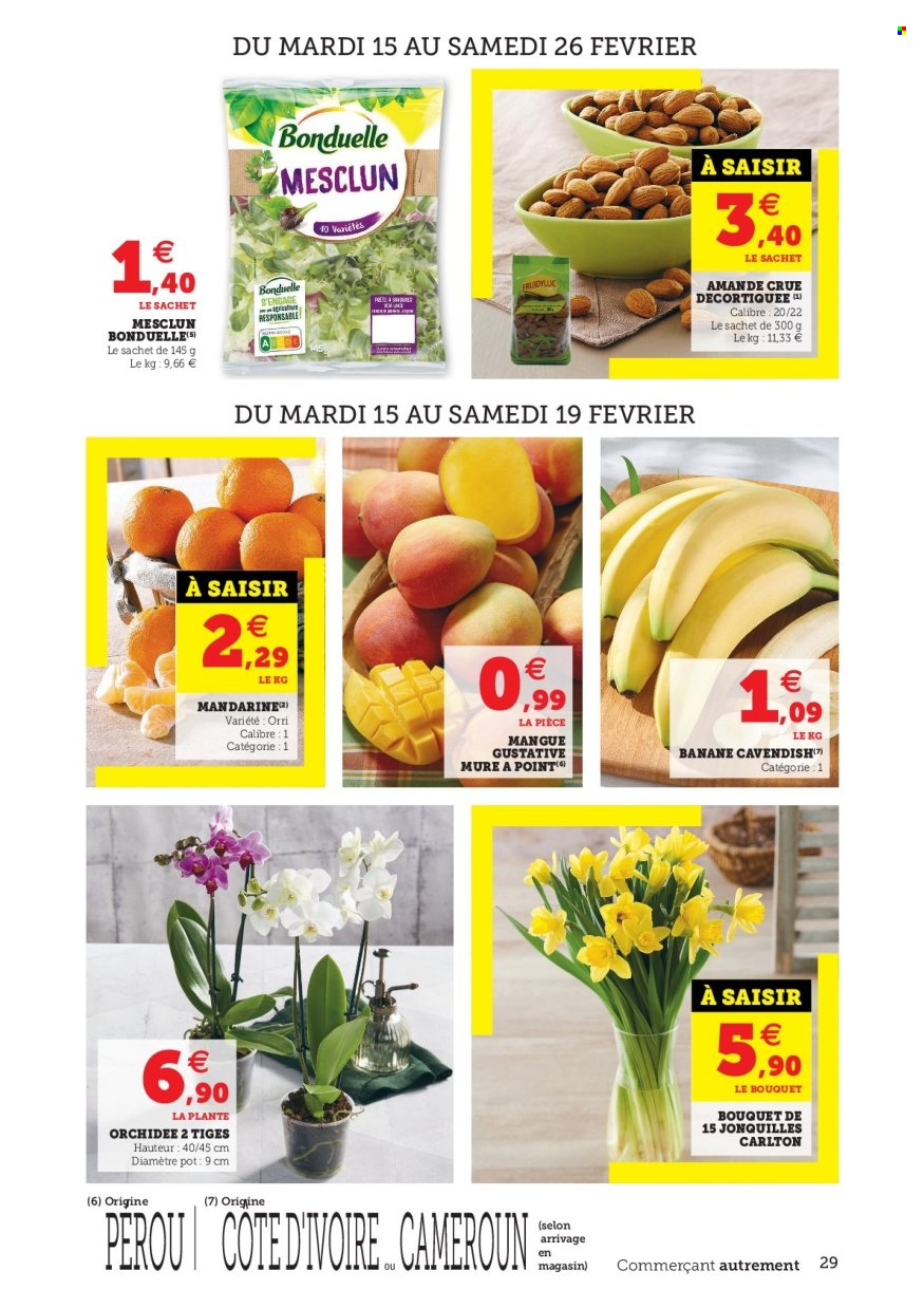 Catalogue U express - 15/02/2022 - 26/02/2022. Page 29