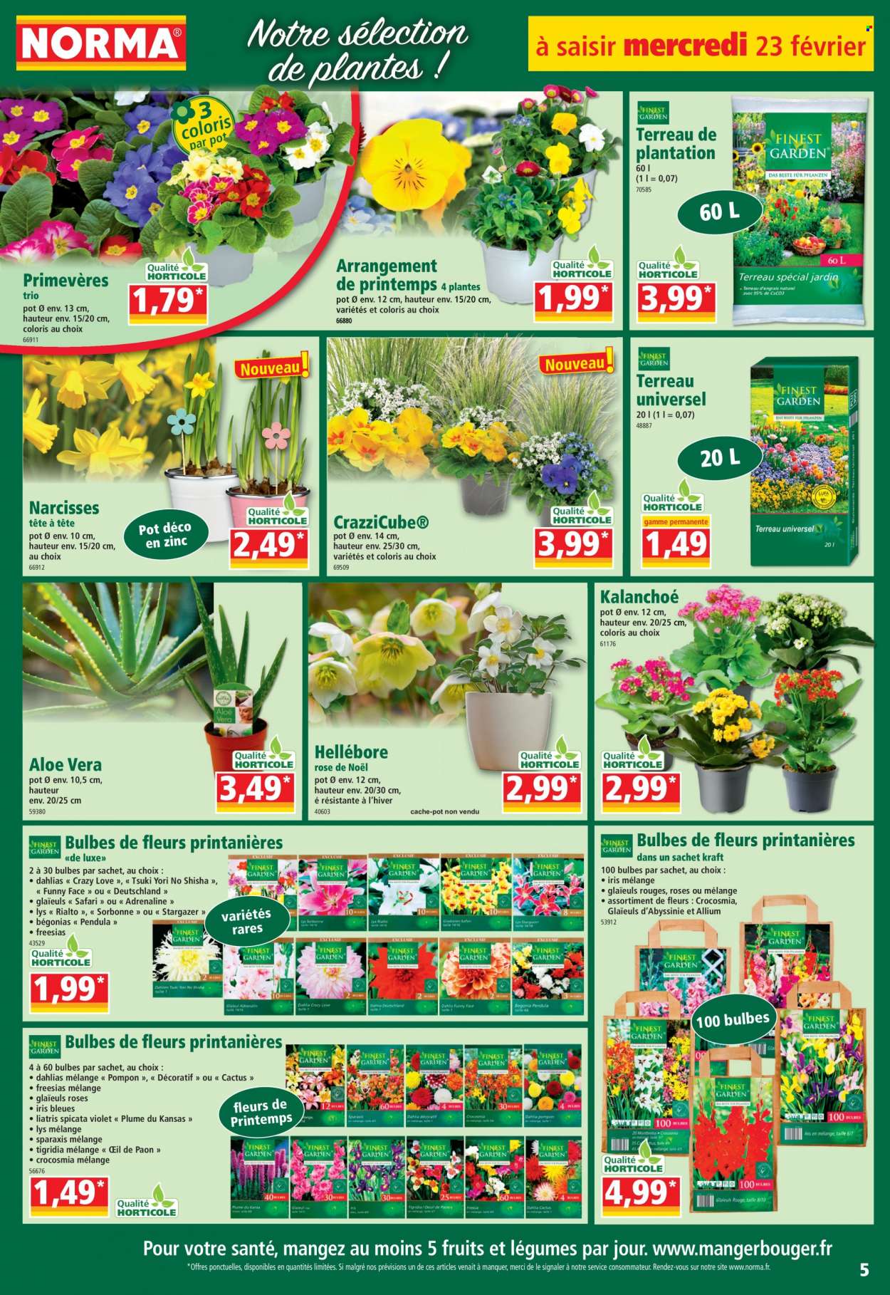 Catalogue Norma - 23/02/2022 - 01/03/2022. Page 5