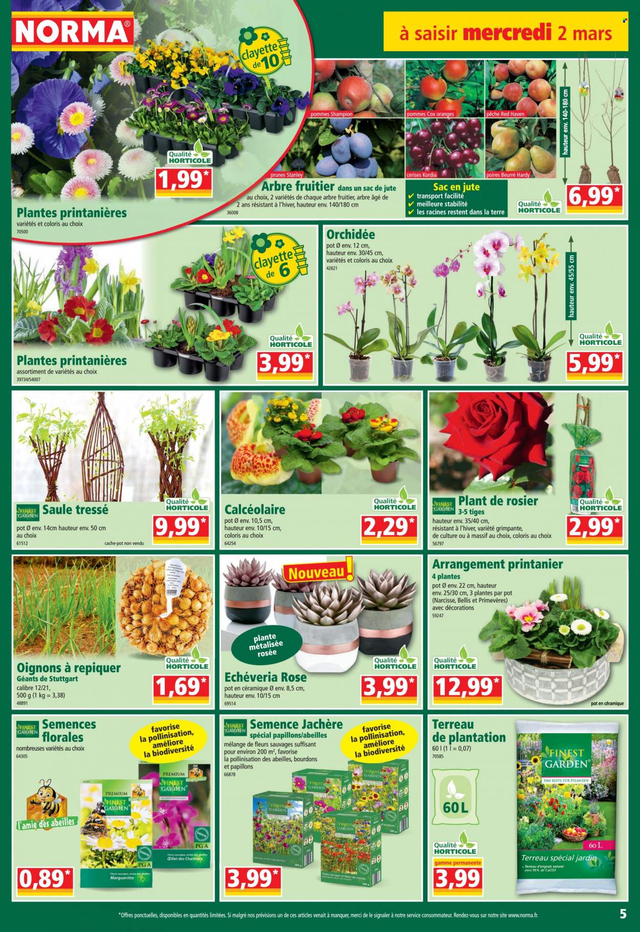 Catalogue Norma - 02/03/2022 - 08/03/2022. Page 5