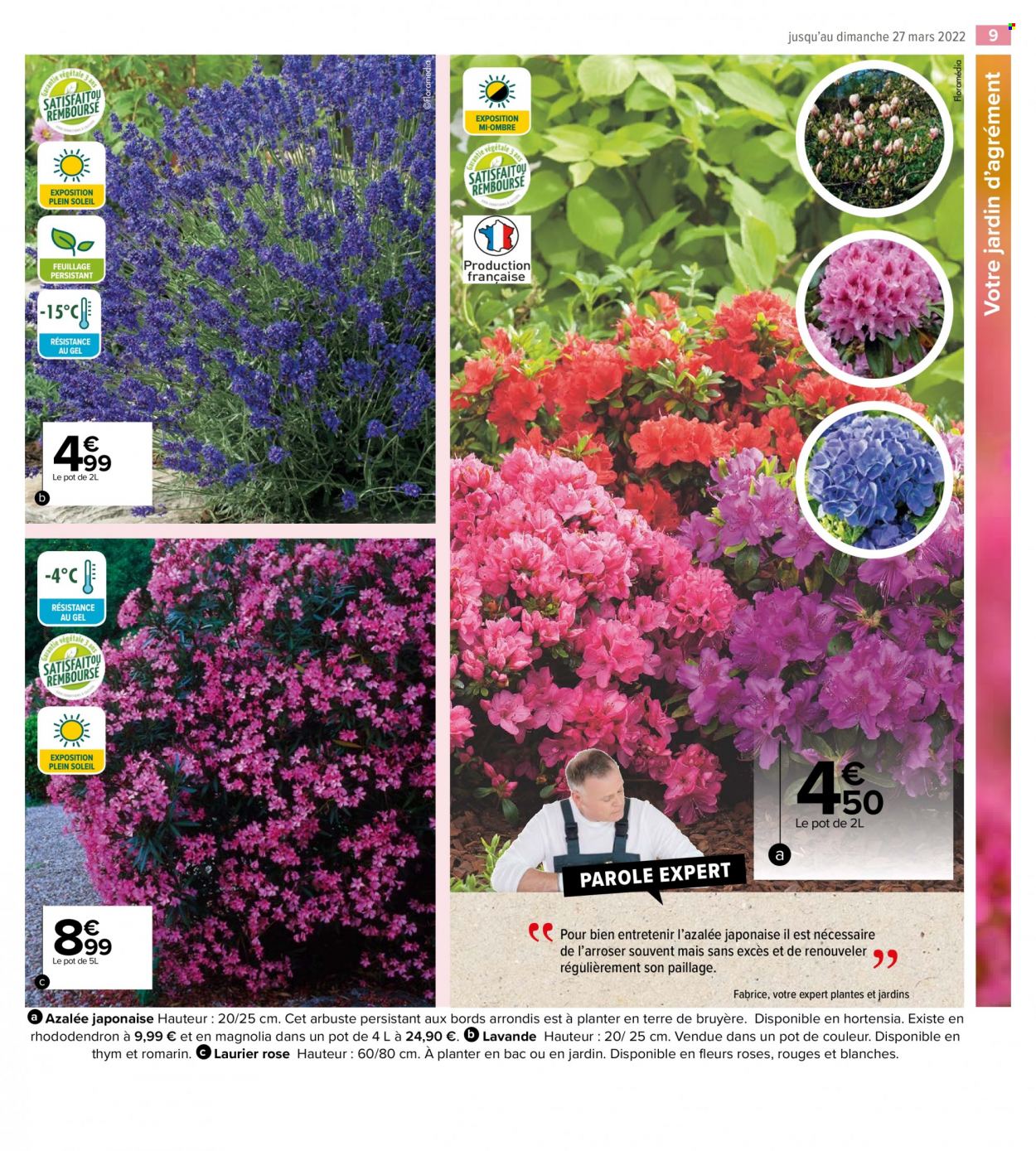 Catalogue Carrefour Market - 01/03/2022 - 27/03/2022. Page 11