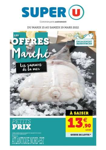 Catalogue SUPER U - 15/03/2022 - 19/03/2022.
