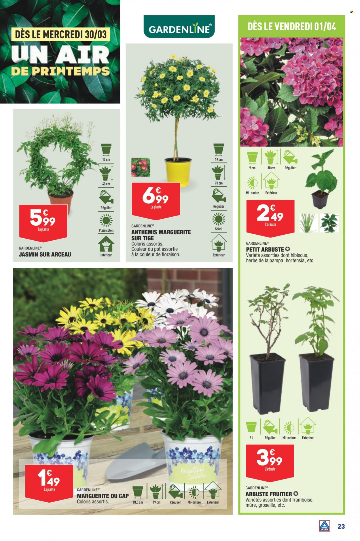 Catalogue ALDI - 29/03/2022 - 04/04/2022. Page 25