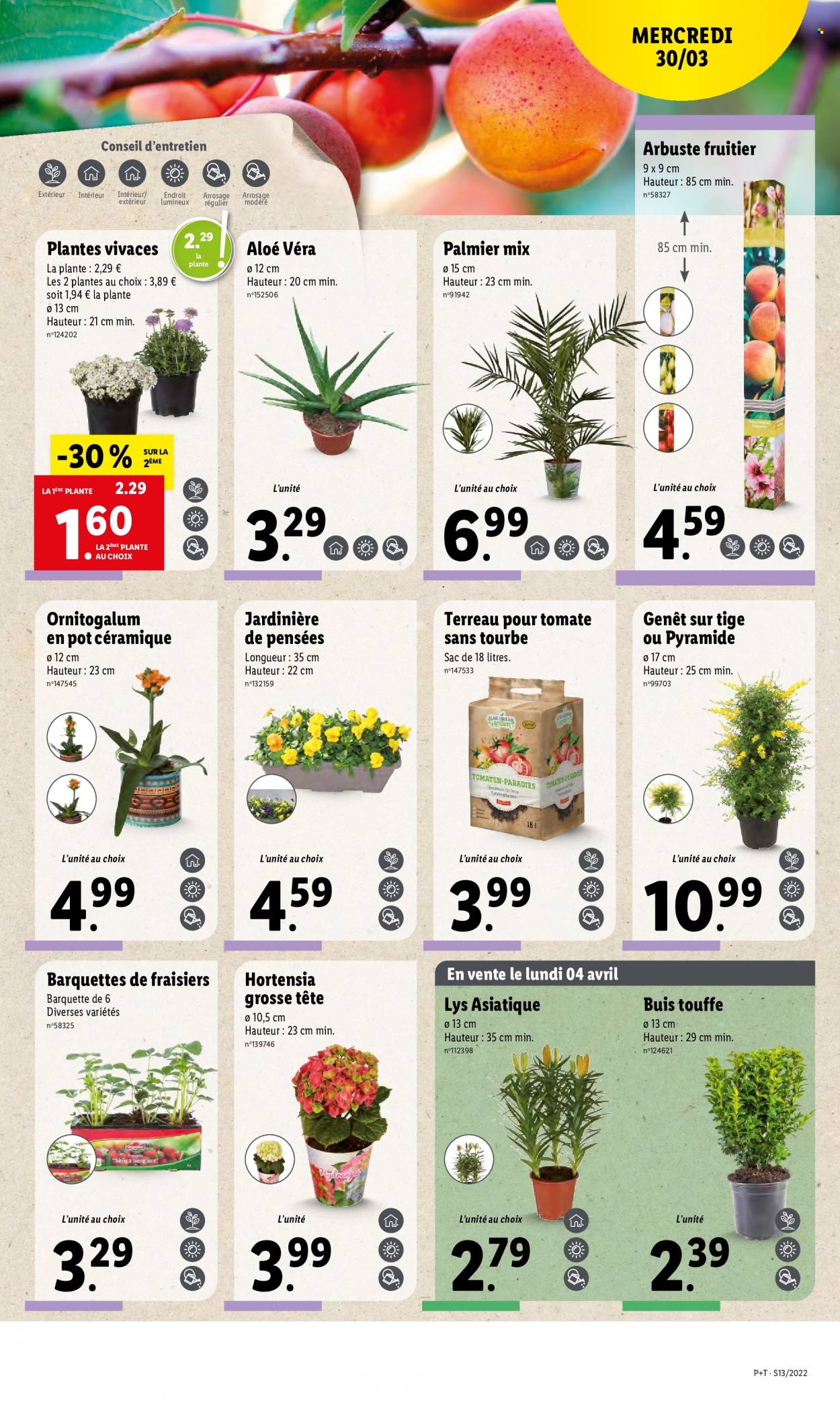 Catalogue Lidl - 30/03/2022 - 05/04/2022. Page 7
