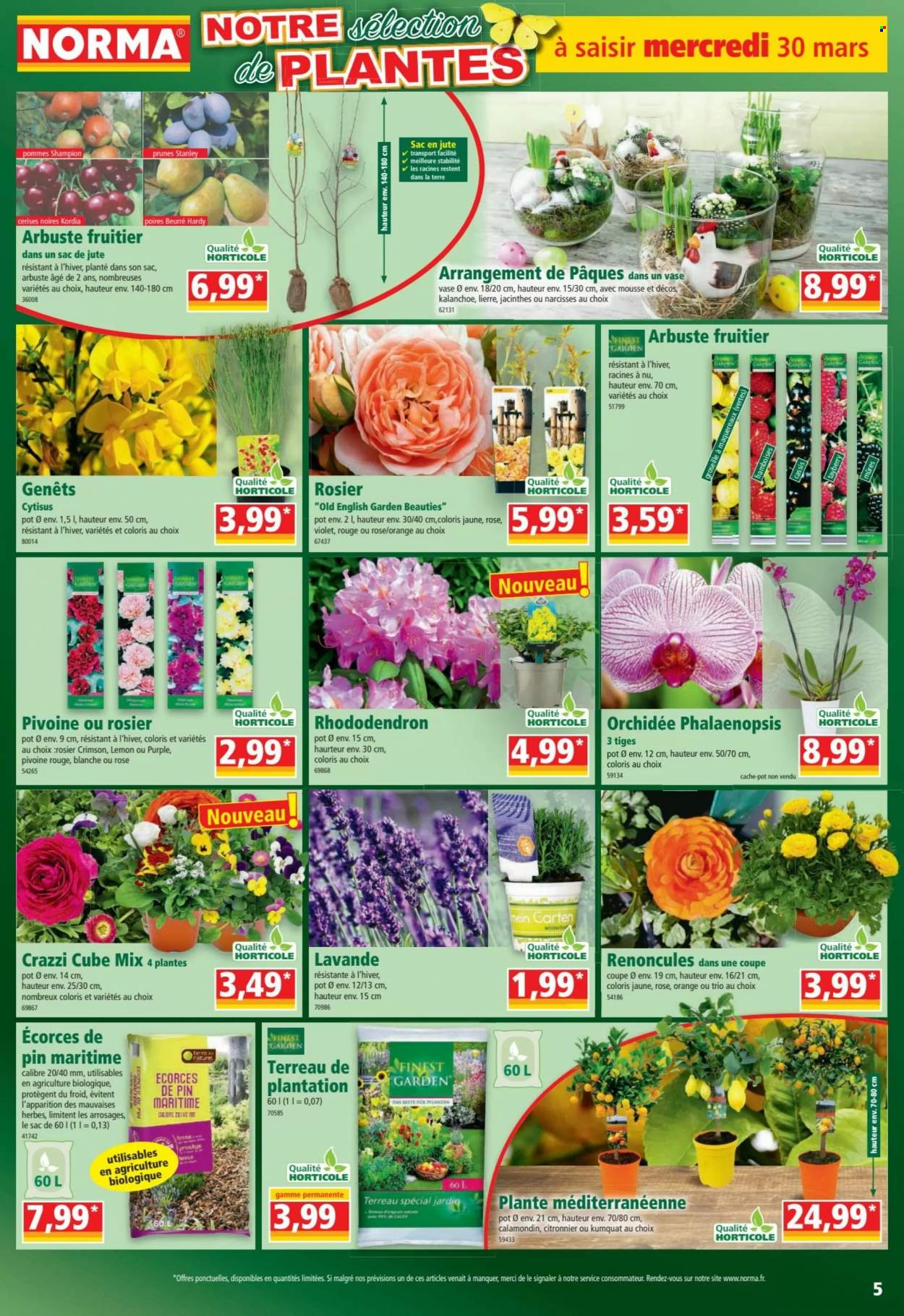 Catalogue Norma - 30/03/2022 - 03/04/2022. Page 5