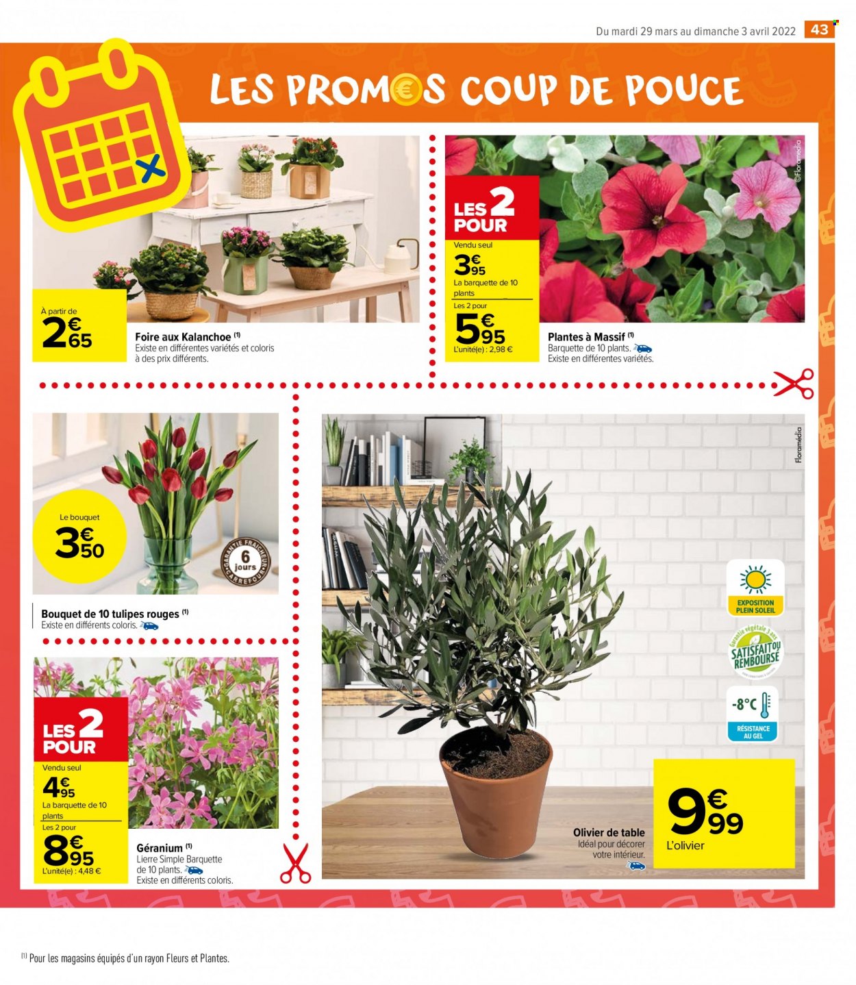 Catalogue Carrefour Market - 29/03/2022 - 03/04/2022. Page 43
