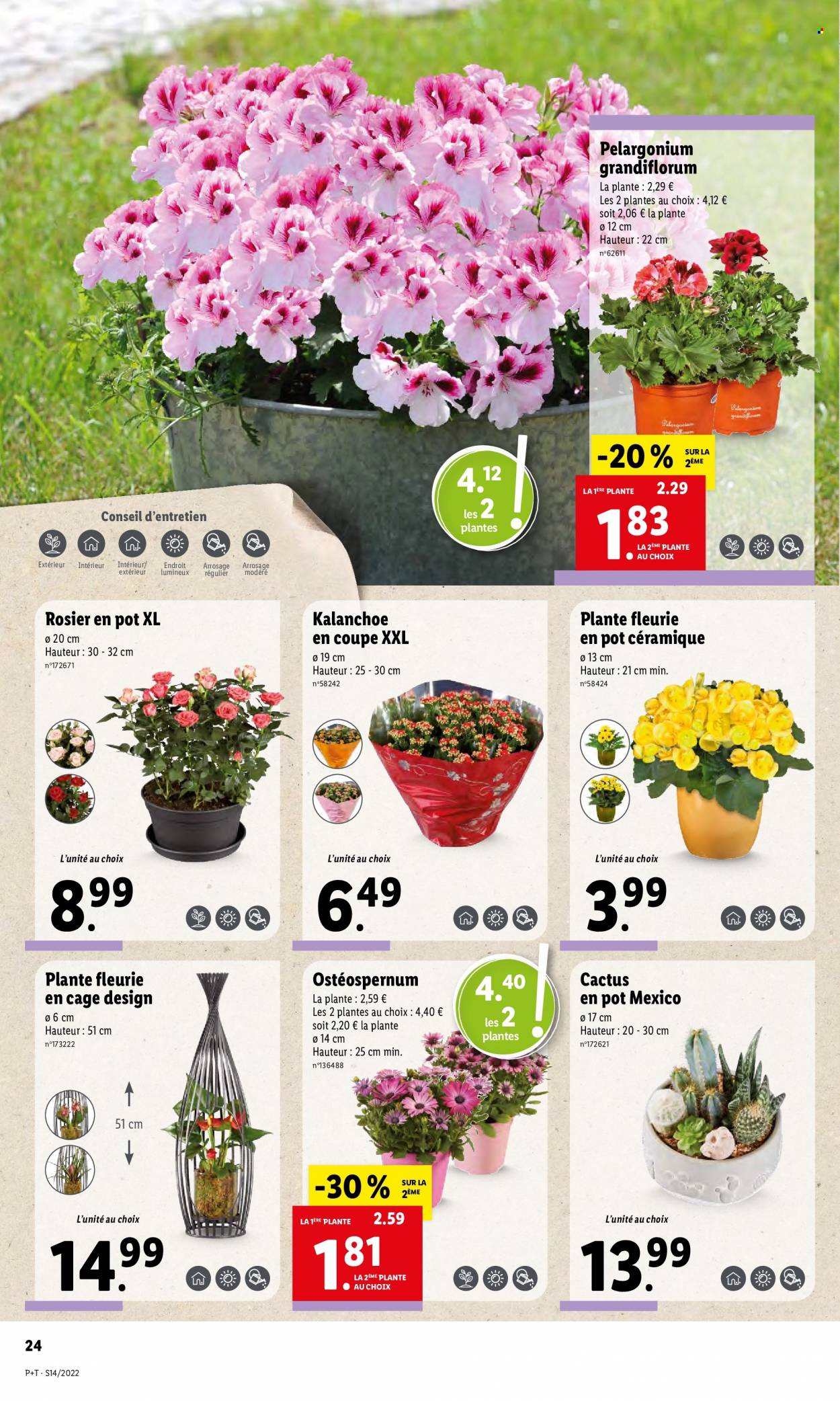 Catalogue Lidl - 06/04/2022 - 12/04/2022. Page 28
