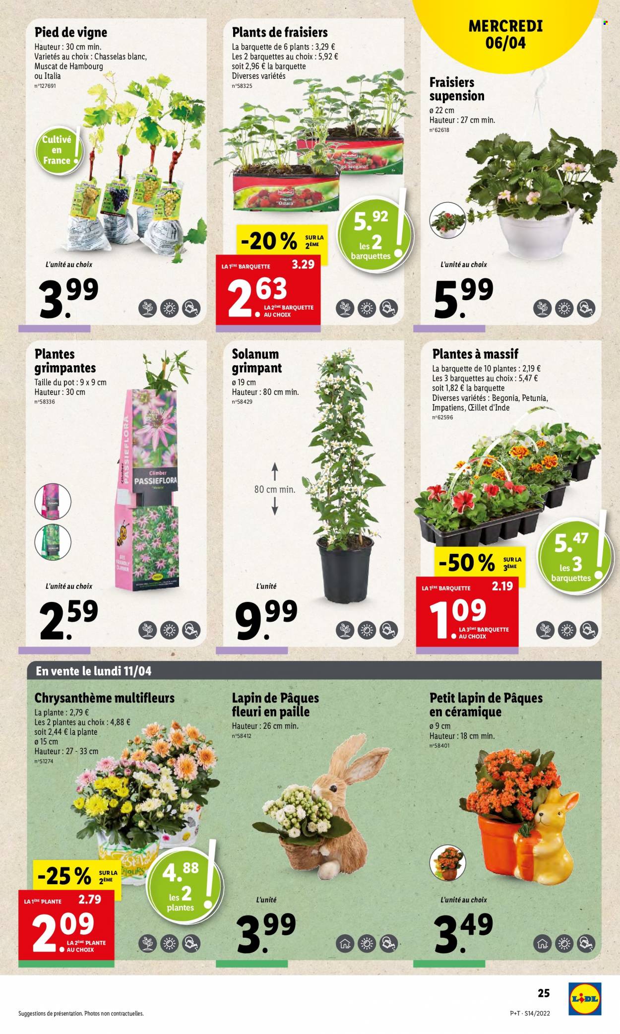 Catalogue Lidl - 06/04/2022 - 12/04/2022. Page 29