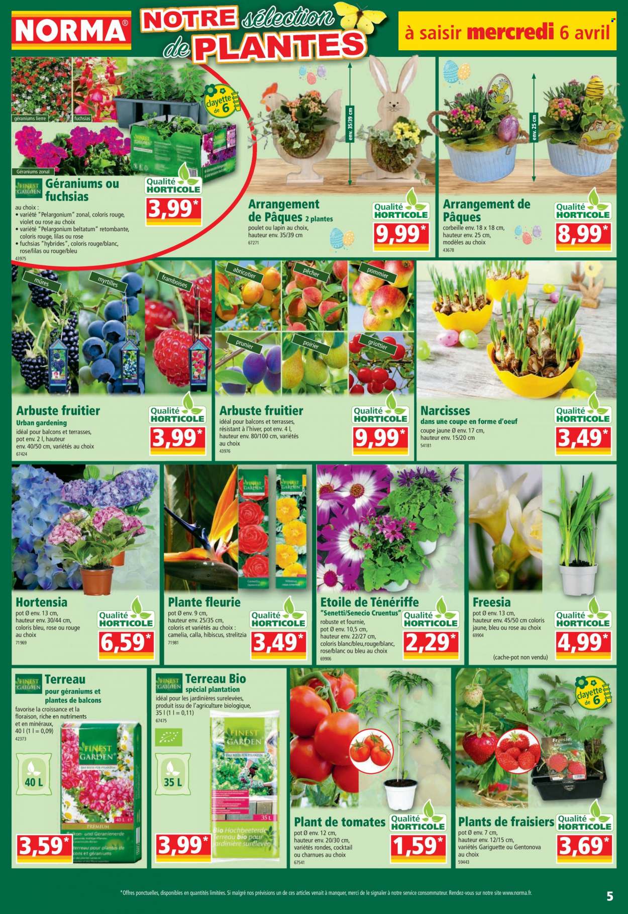 Catalogue Norma - 06/04/2022 - 12/04/2022. Page 5