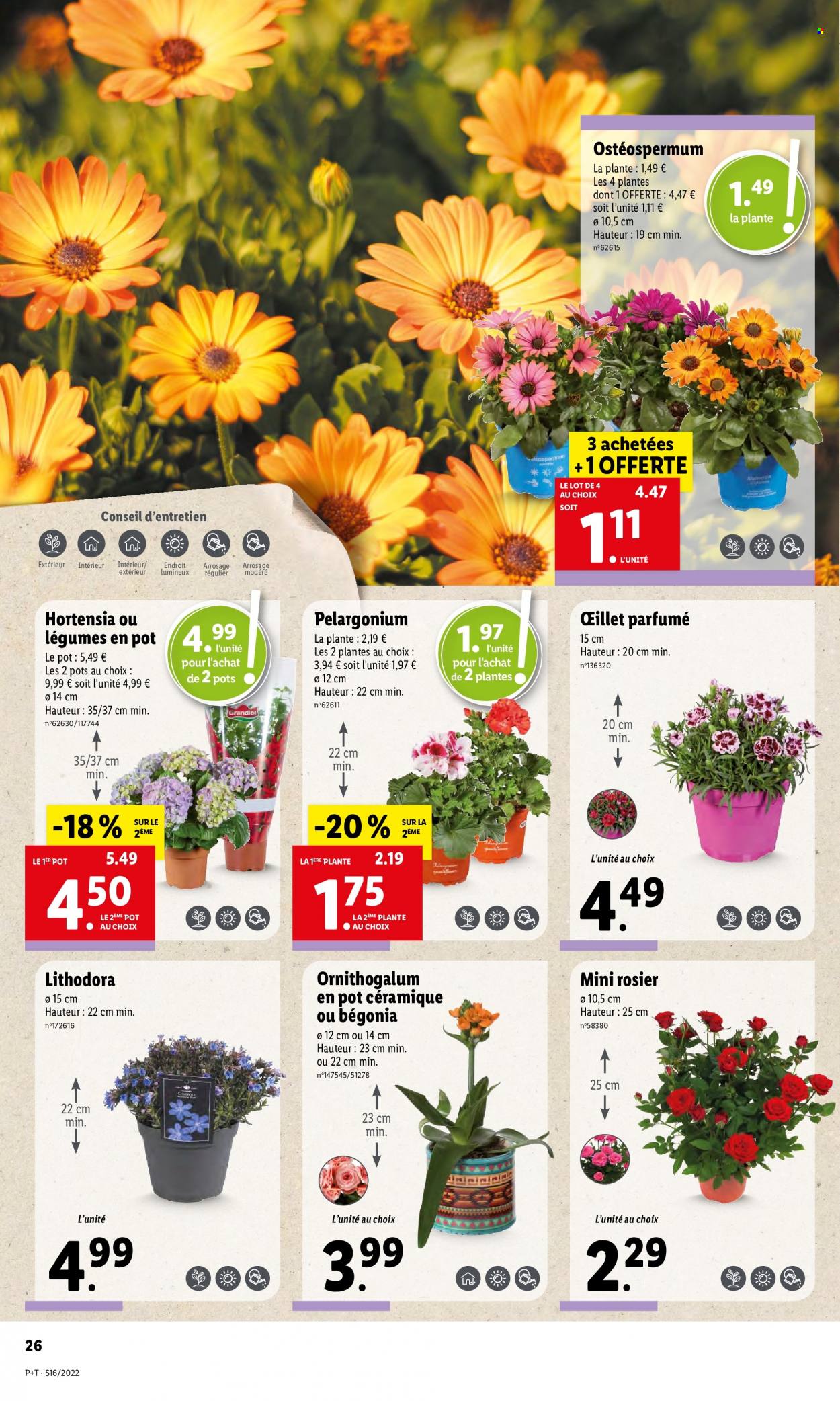 Catalogue Lidl - 20/04/2022 - 26/04/2022. Page 30