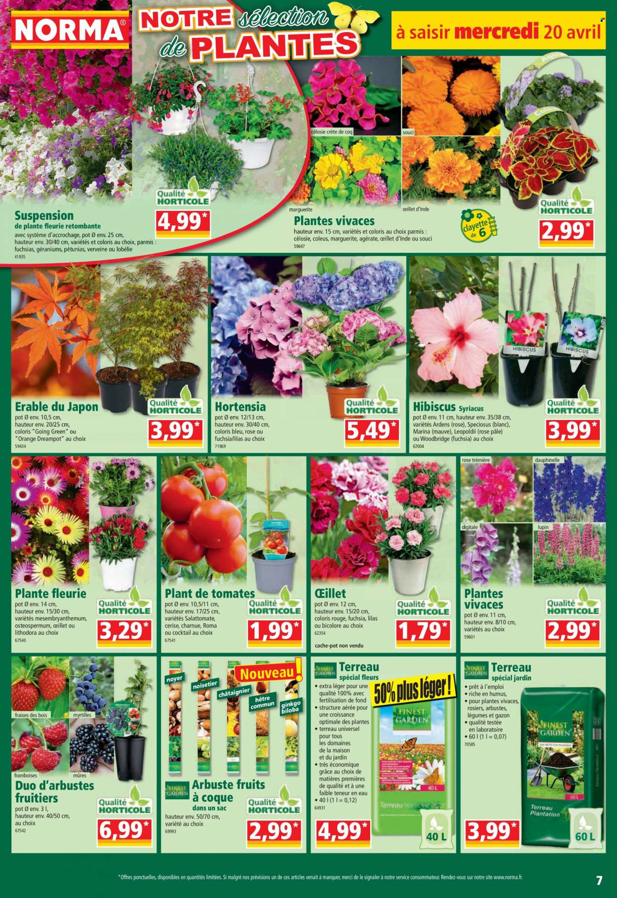 Catalogue Norma - 20/04/2022 - 26/04/2022. Page 7