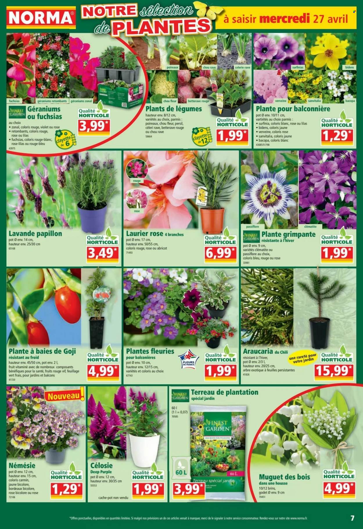 Catalogue Norma - 27/04/2022 - 03/05/2022. Page 7