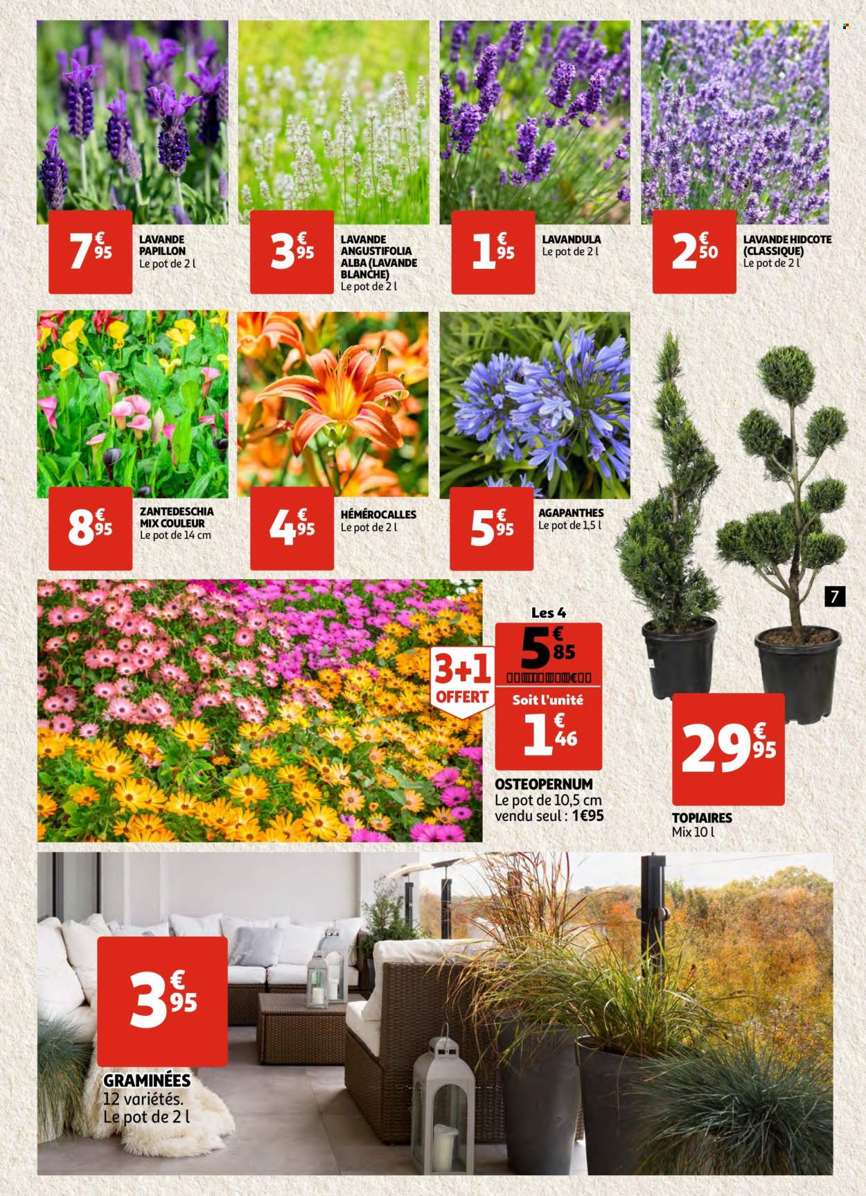 Catalogue Auchan - 27/04/2022 - 03/05/2022. Page 7