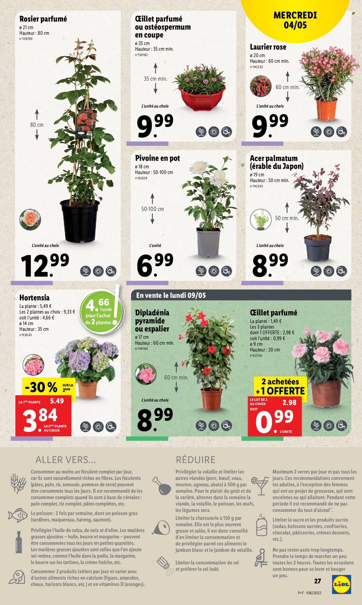Catalogue Lidl - 04/05/2022 - 10/05/2022. Page 29