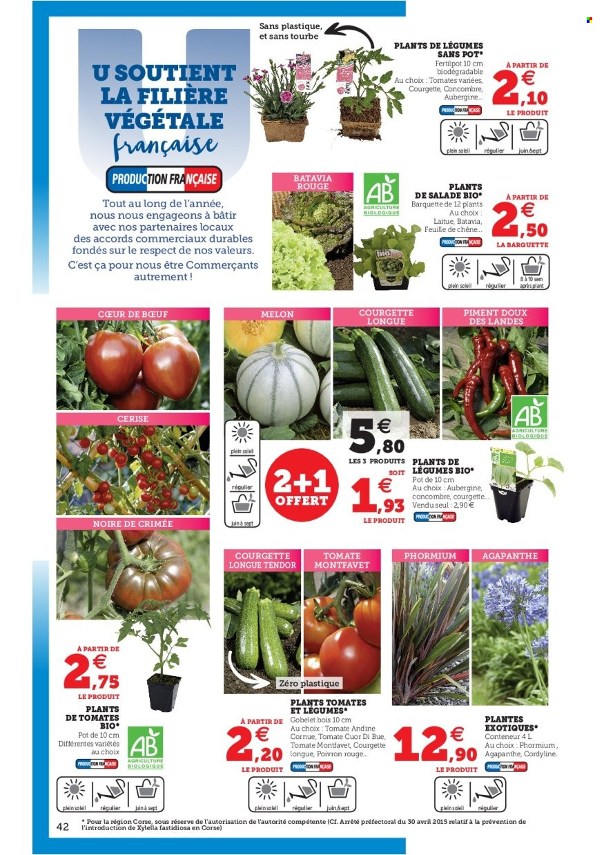 thumbnail - Catalogue SUPER U - 03/05/2022 - 28/05/2022 - Produits soldés - melon, salade batavia, concombre, courgette, poivrons, piment, phormium, cordyline. Page 42.