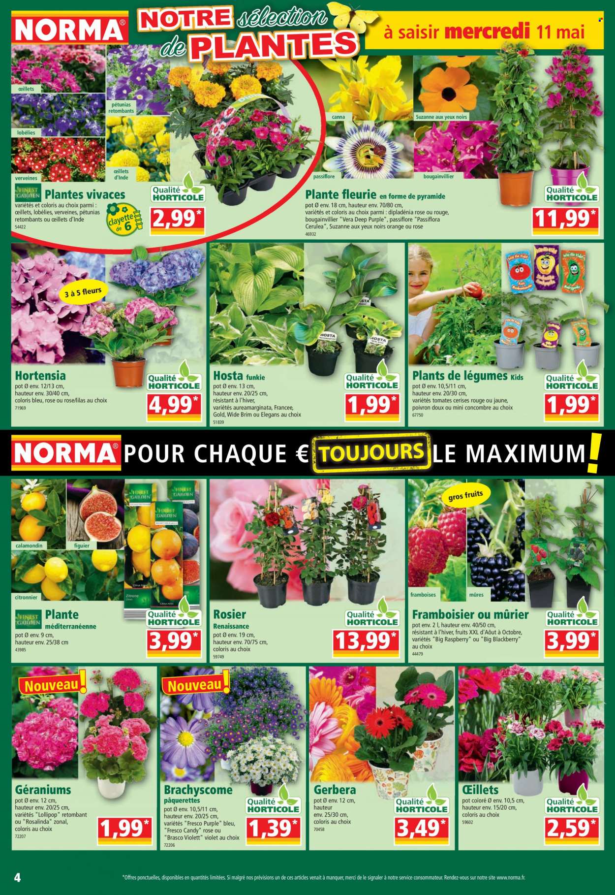 Catalogue Norma - 11/05/2022 - 17/05/2022. Page 4