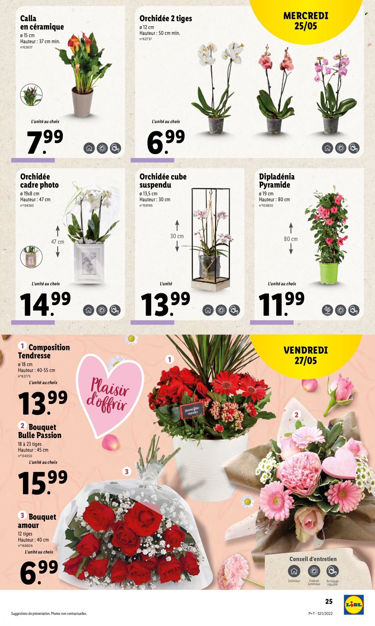 Catalogue Lidl - 25/05/2022 - 31/05/2022. Page 27