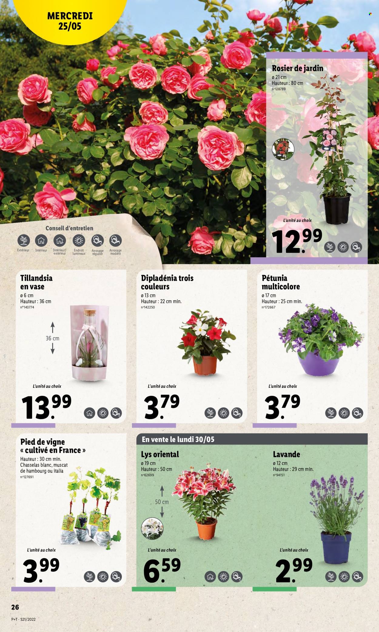 Catalogue Lidl - 25/05/2022 - 31/05/2022. Page 28