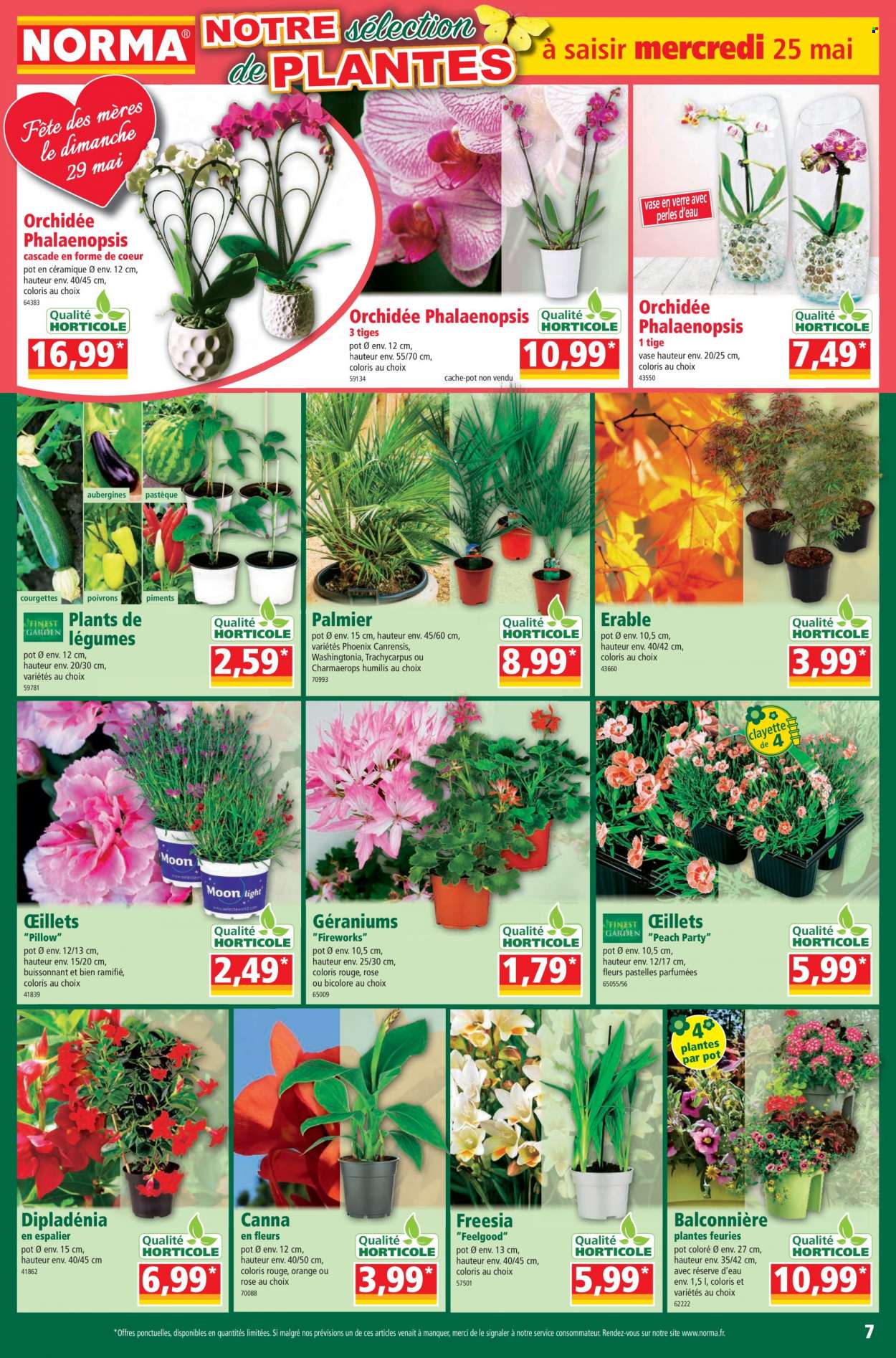 Catalogue Norma - 25/05/2022 - 31/05/2022. Page 7