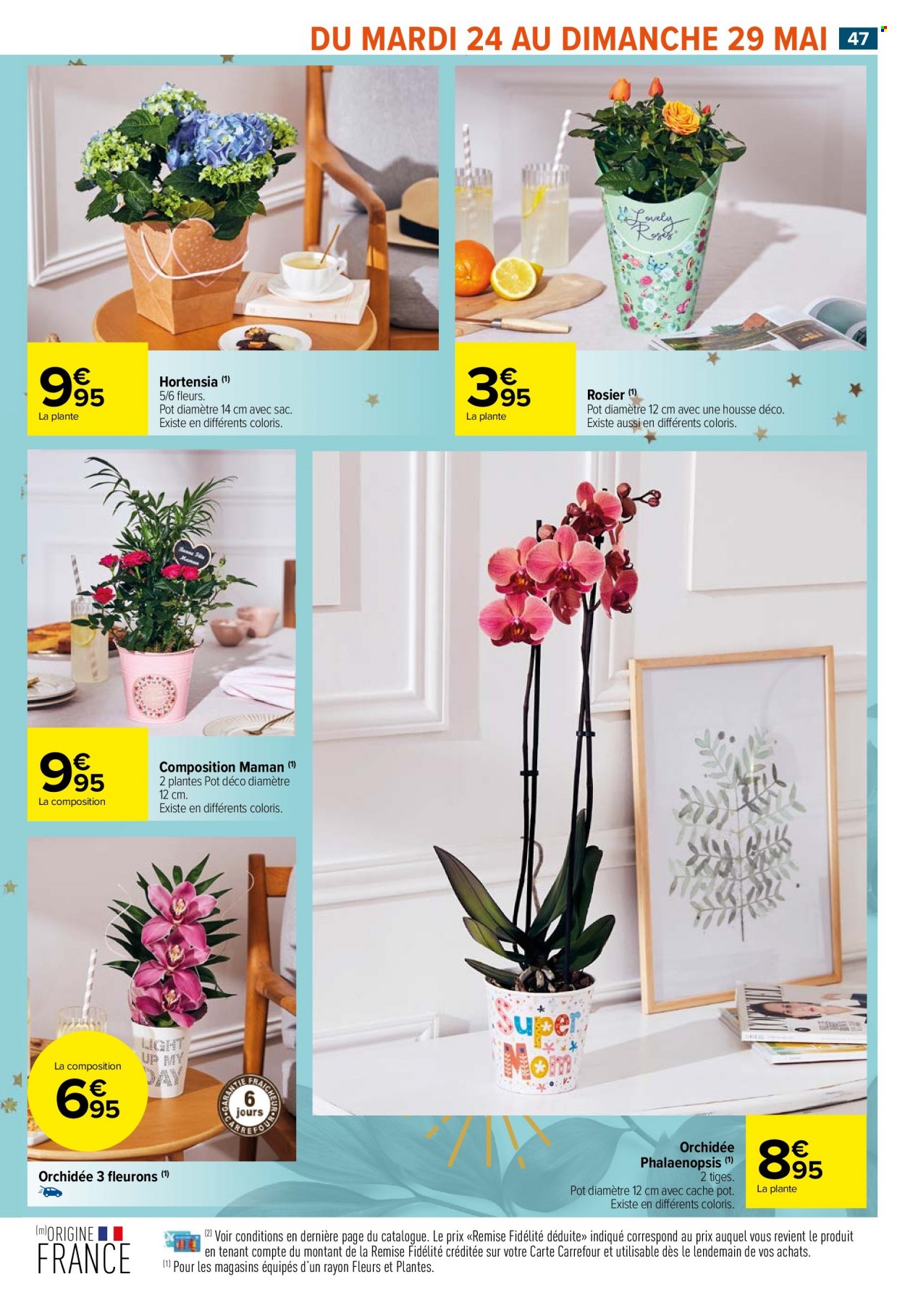 Catalogue Carrefour Market - 23/05/2022 - 05/06/2022. Page 49