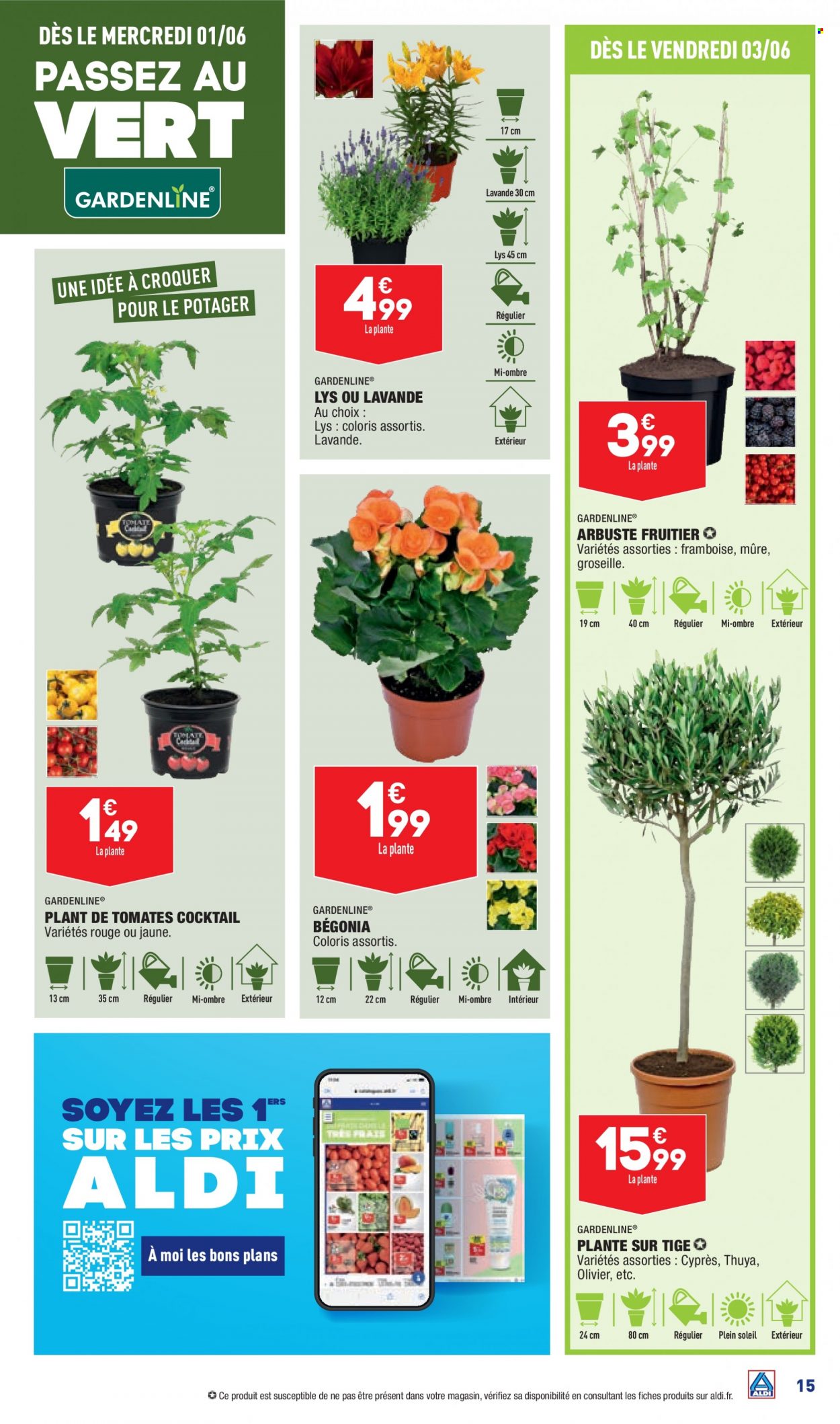 Catalogue ALDI - 31/05/2022 - 06/06/2022. Page 17