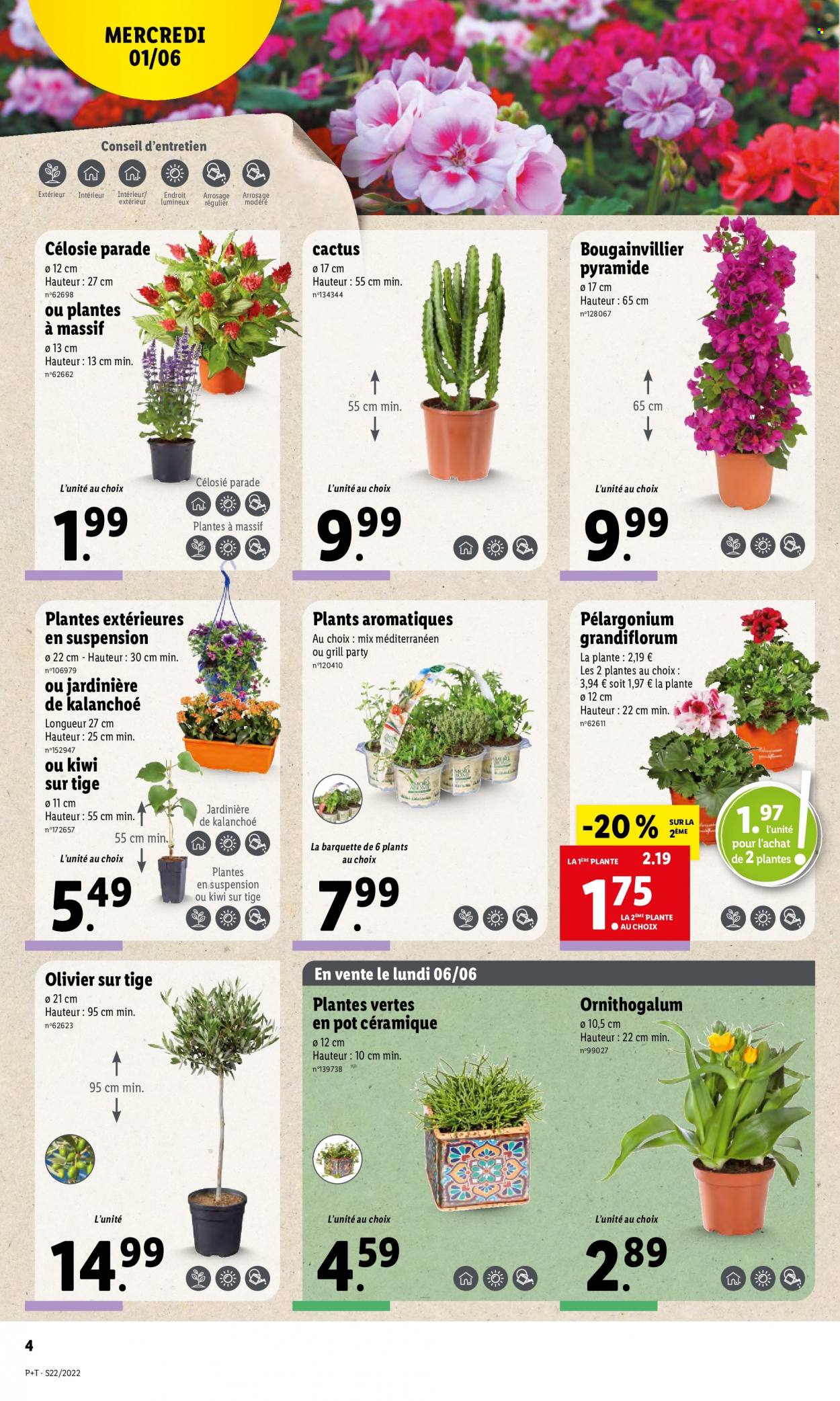 Catalogue Lidl - 01/06/2022 - 07/06/2022. Page 4
