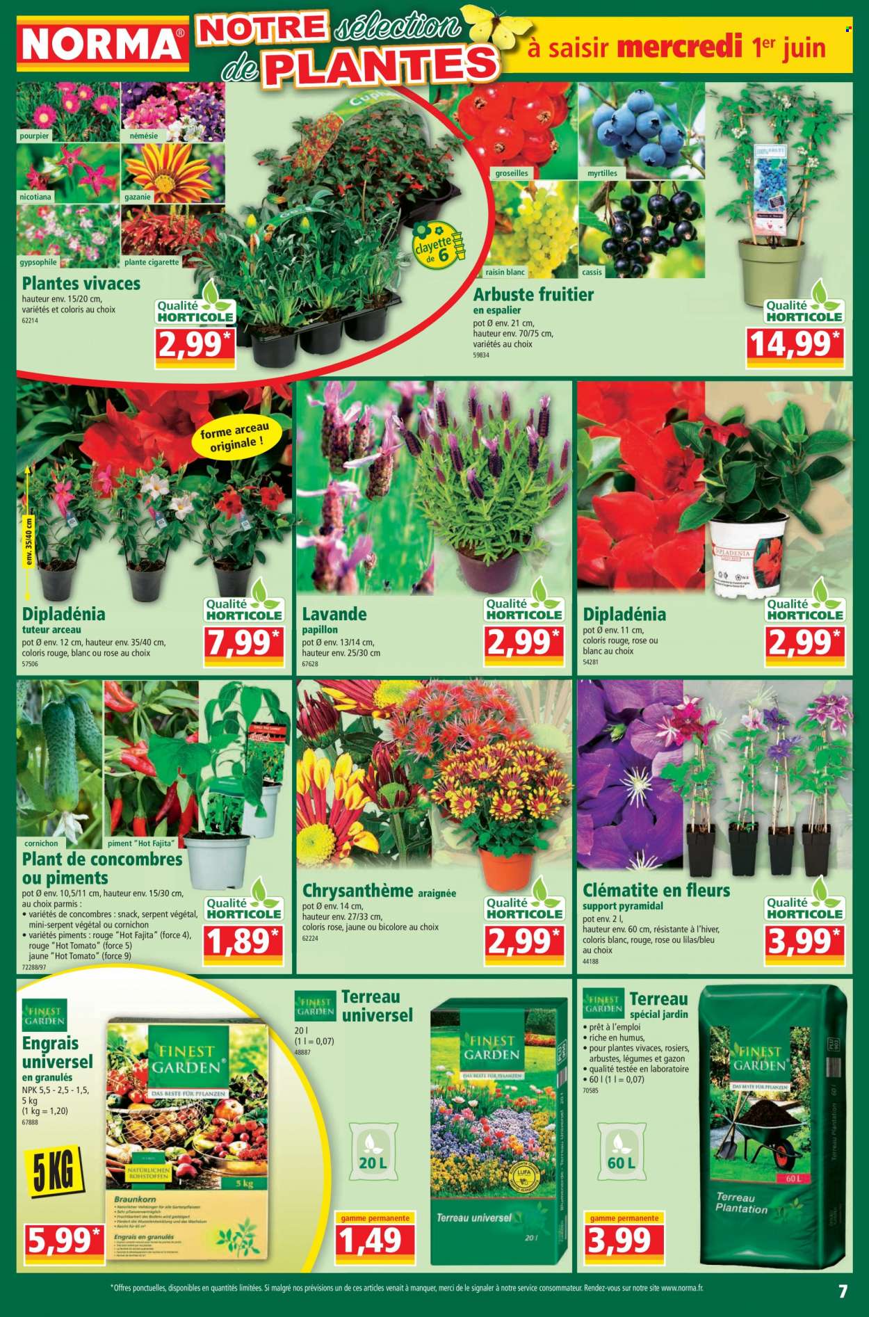 Catalogue Norma - 01/06/2022 - 07/06/2022. Page 7