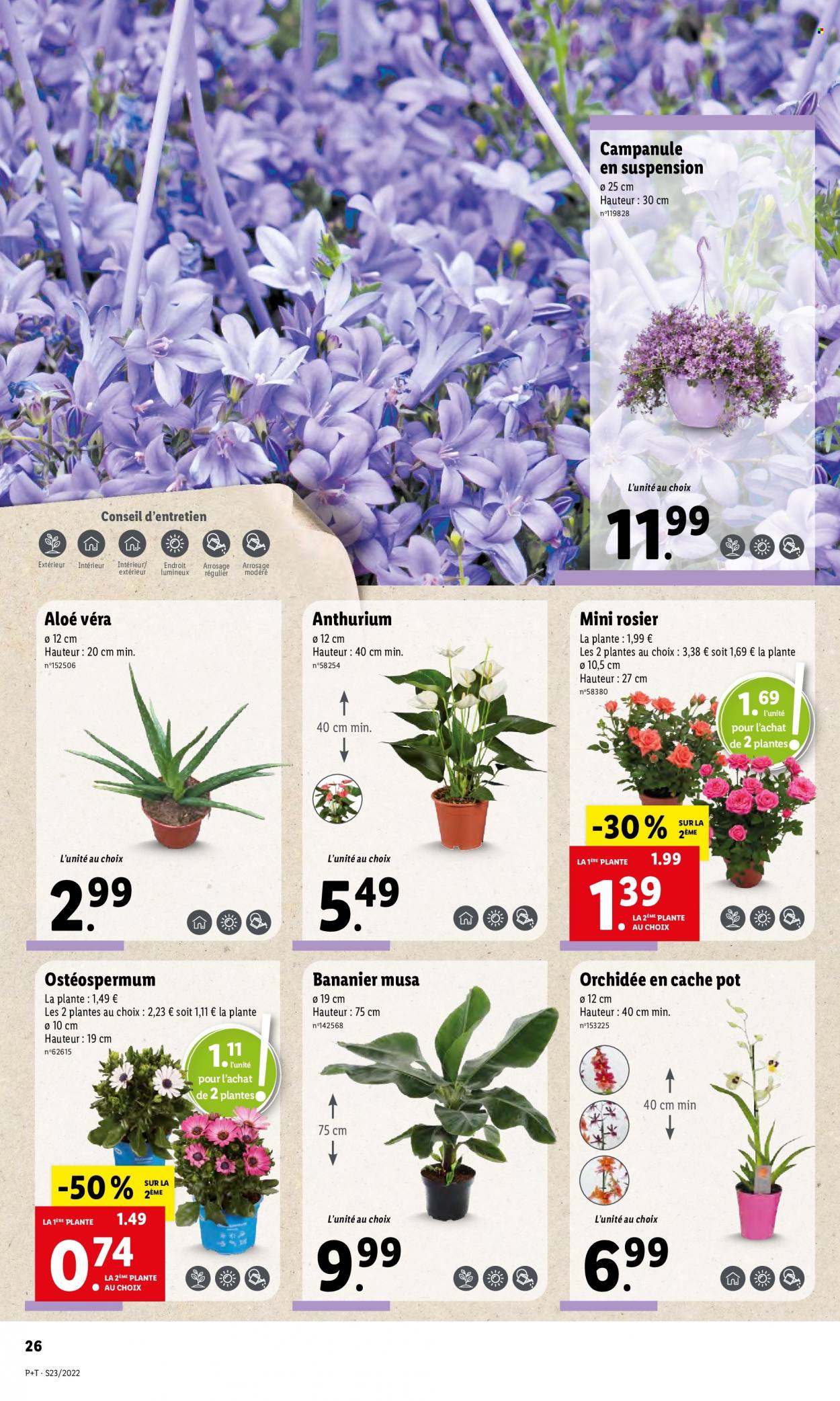 Catalogue Lidl - 08/06/2022 - 14/06/2022. Page 30