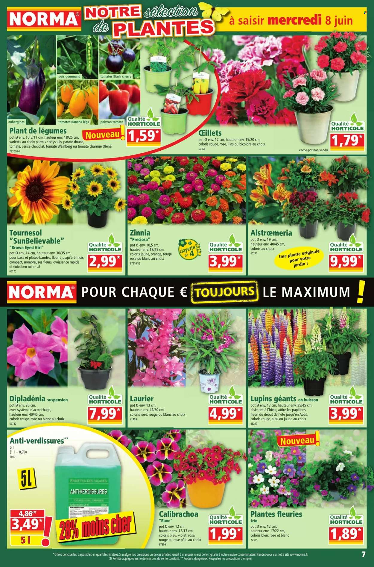 Catalogue Norma - 08/06/2022 - 14/06/2022. Page 7