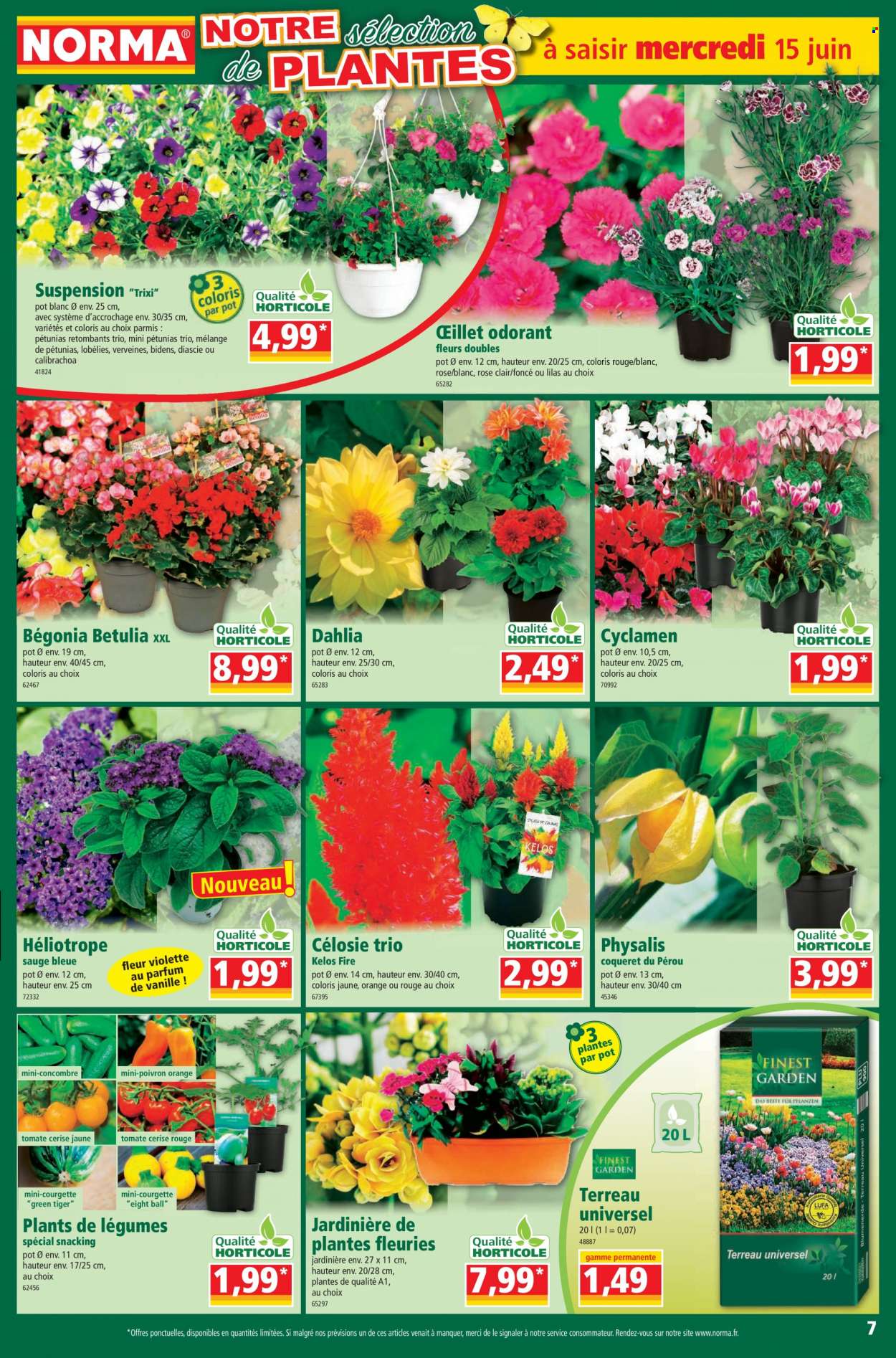 Catalogue Norma - 15/06/2022 - 20/06/2022. Page 7