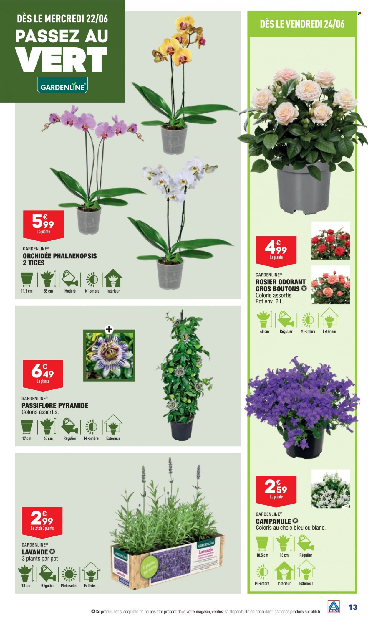 Catalogue ALDI - 21/06/2022 - 27/06/2022. Page 15
