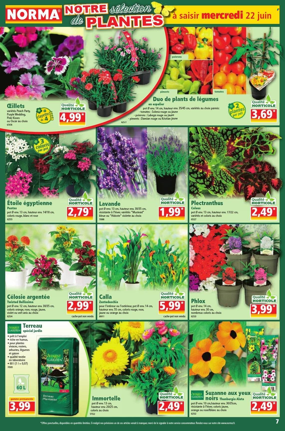 Catalogue Norma - 22/06/2022 - 27/06/2022. Page 7