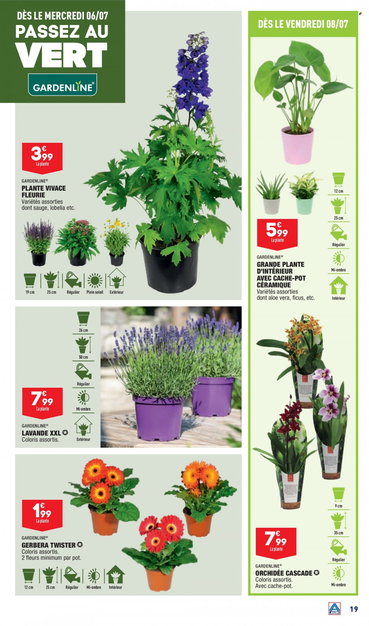 Catalogue ALDI - 05/07/2022 - 11/07/2022. Page 21