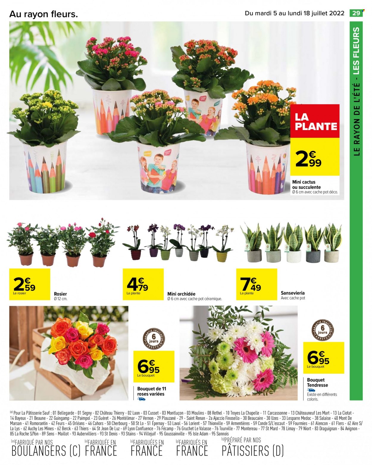 thumbnail - Catalogue Carrefour Hypermarchés - 05/07/2022 - 18/07/2022 - Produits soldés - cactus, fleur, succulente, orchidée, rosier. Page 31.
