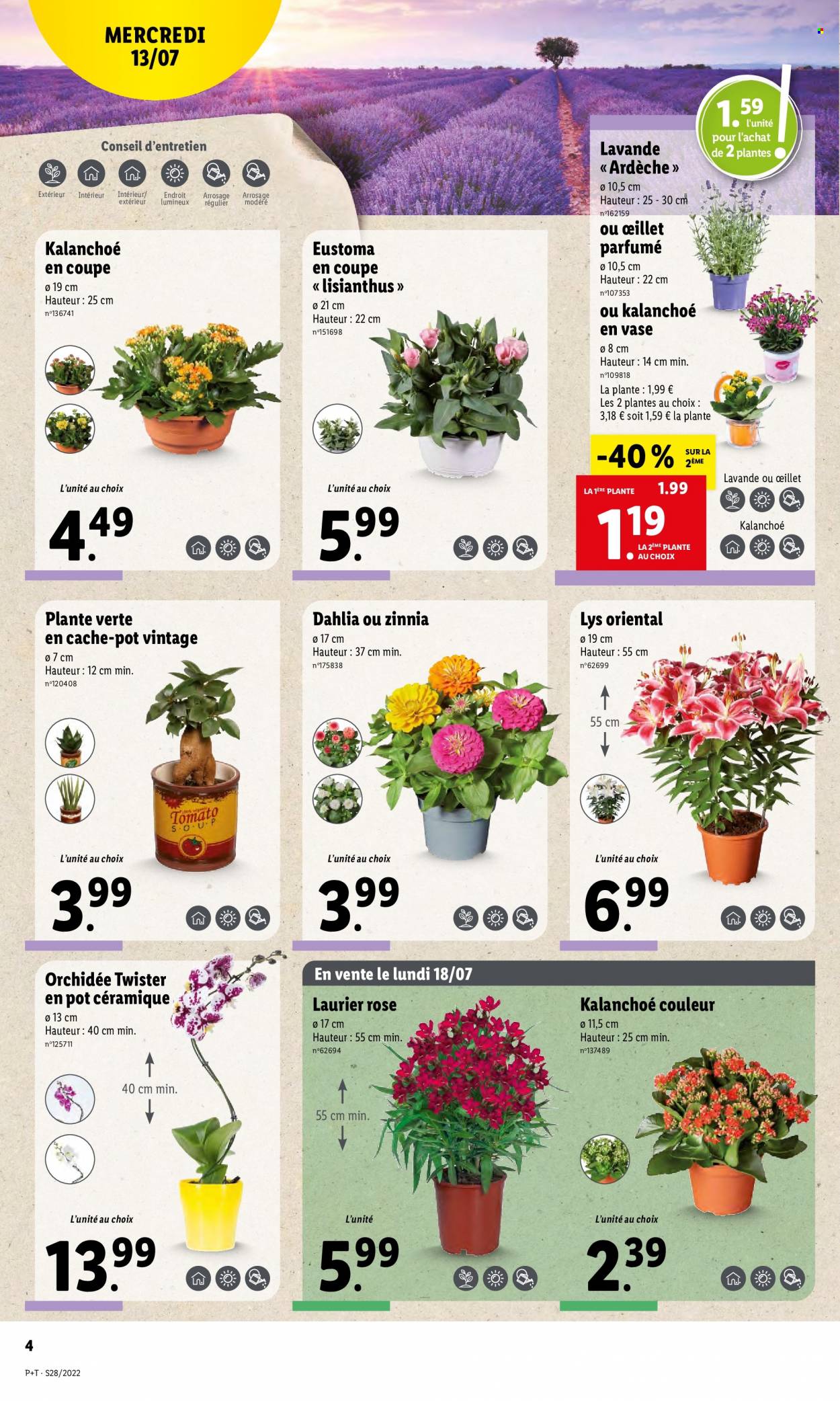 Catalogue Lidl - 13/07/2022 - 19/07/2022. Page 4