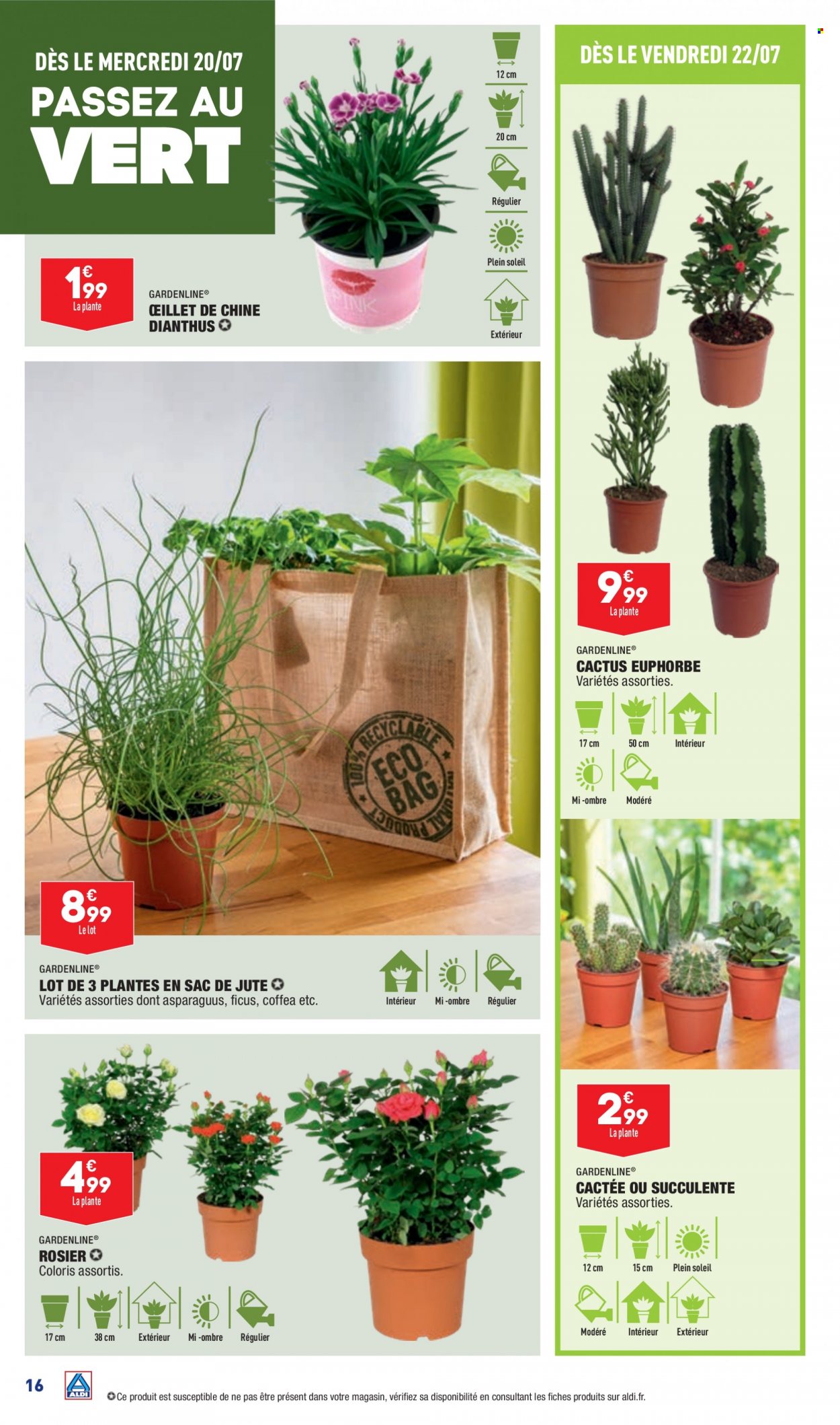 Catalogue ALDI - 19/07/2022 - 25/07/2022. Page 18