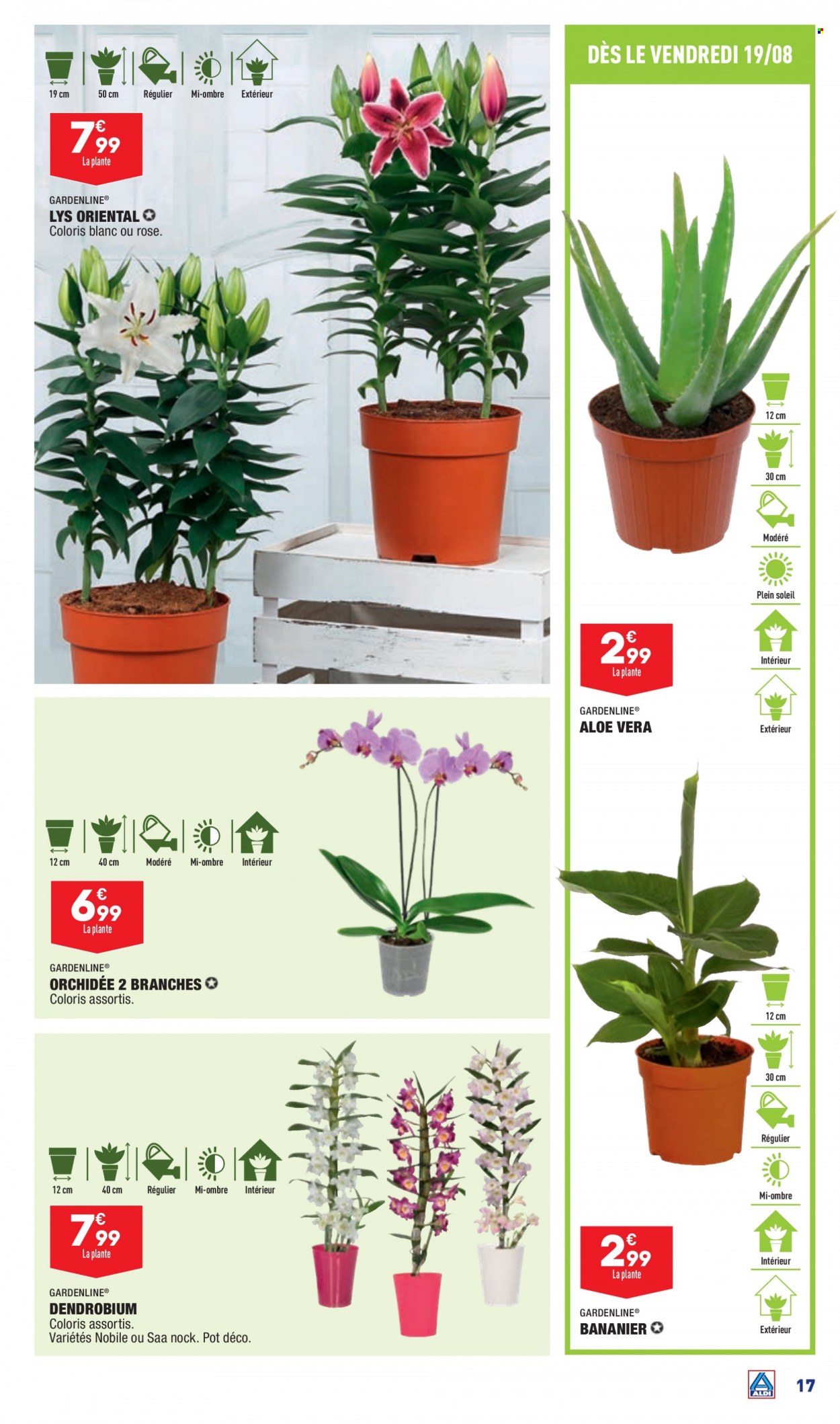 Catalogue ALDI - 17/08/2022 - 22/08/2022. Page 19
