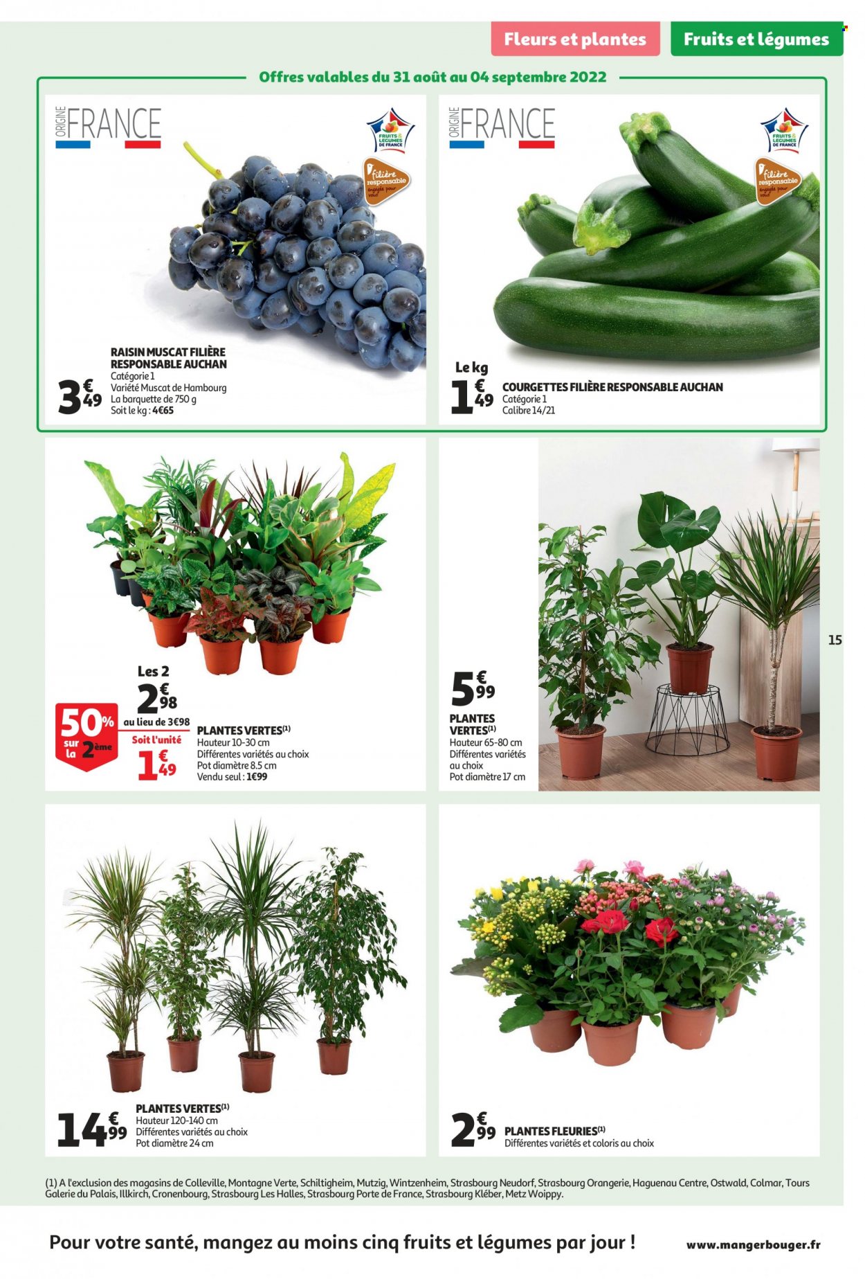 Catalogue Auchan - 31/08/2022 - 06/09/2022. Page 15