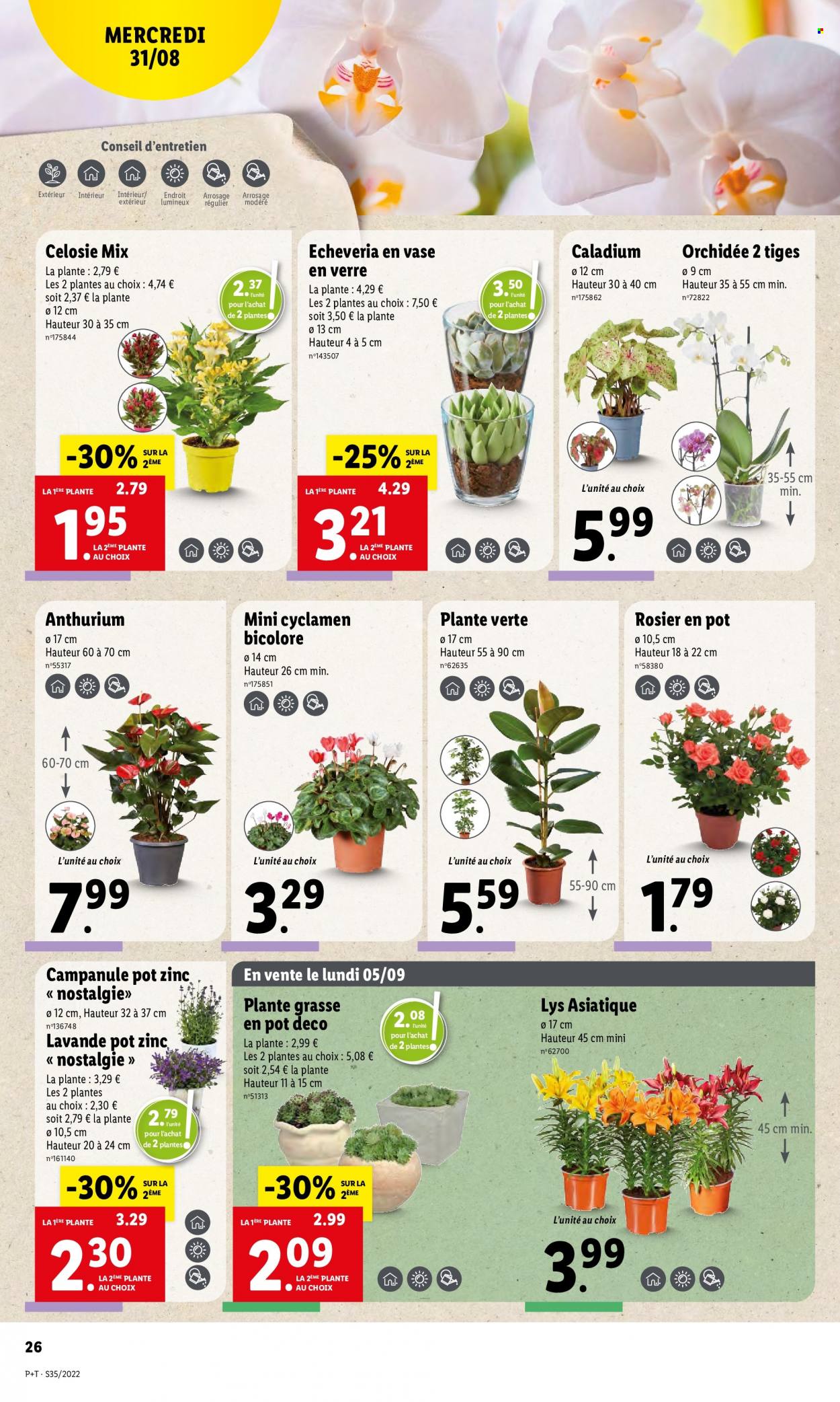 Catalogue Lidl - 31/08/2022 - 06/09/2022. Page 28