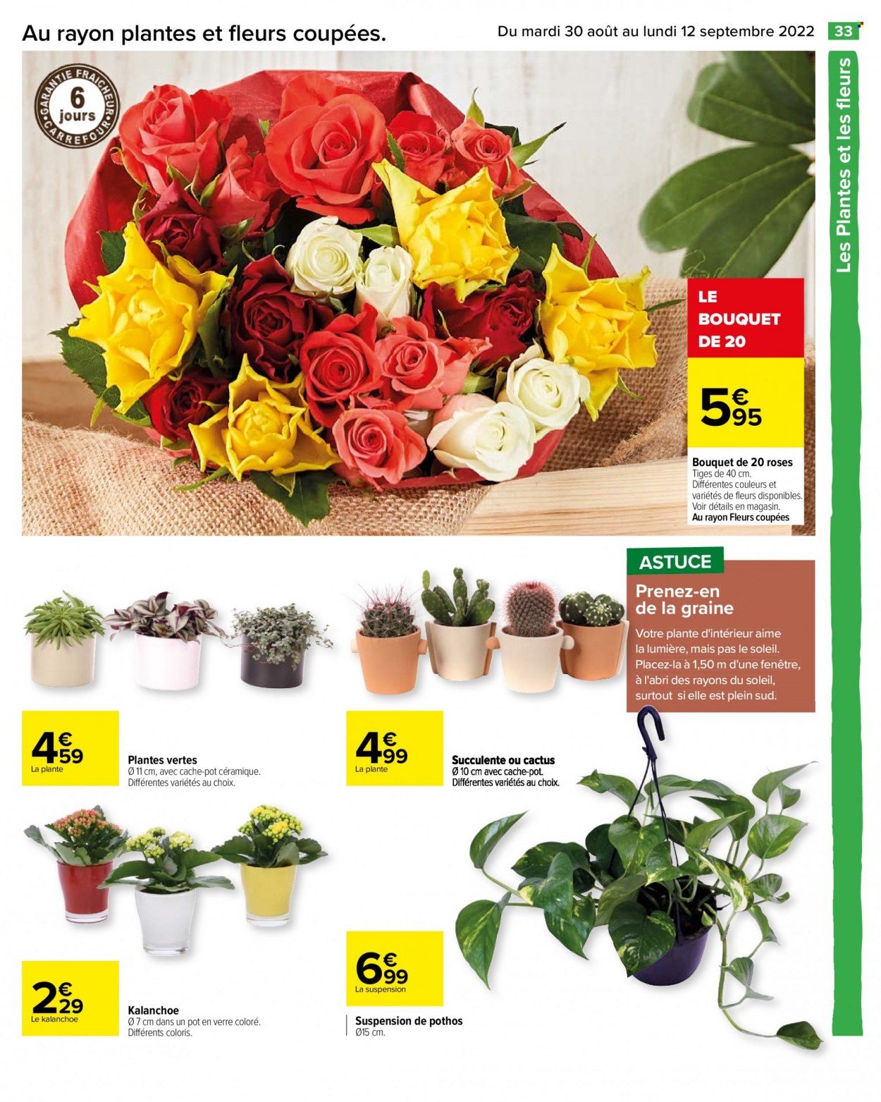 Catalogue Carrefour Hypermarchés - 30/08/2022 - 12/09/2022. Page 33