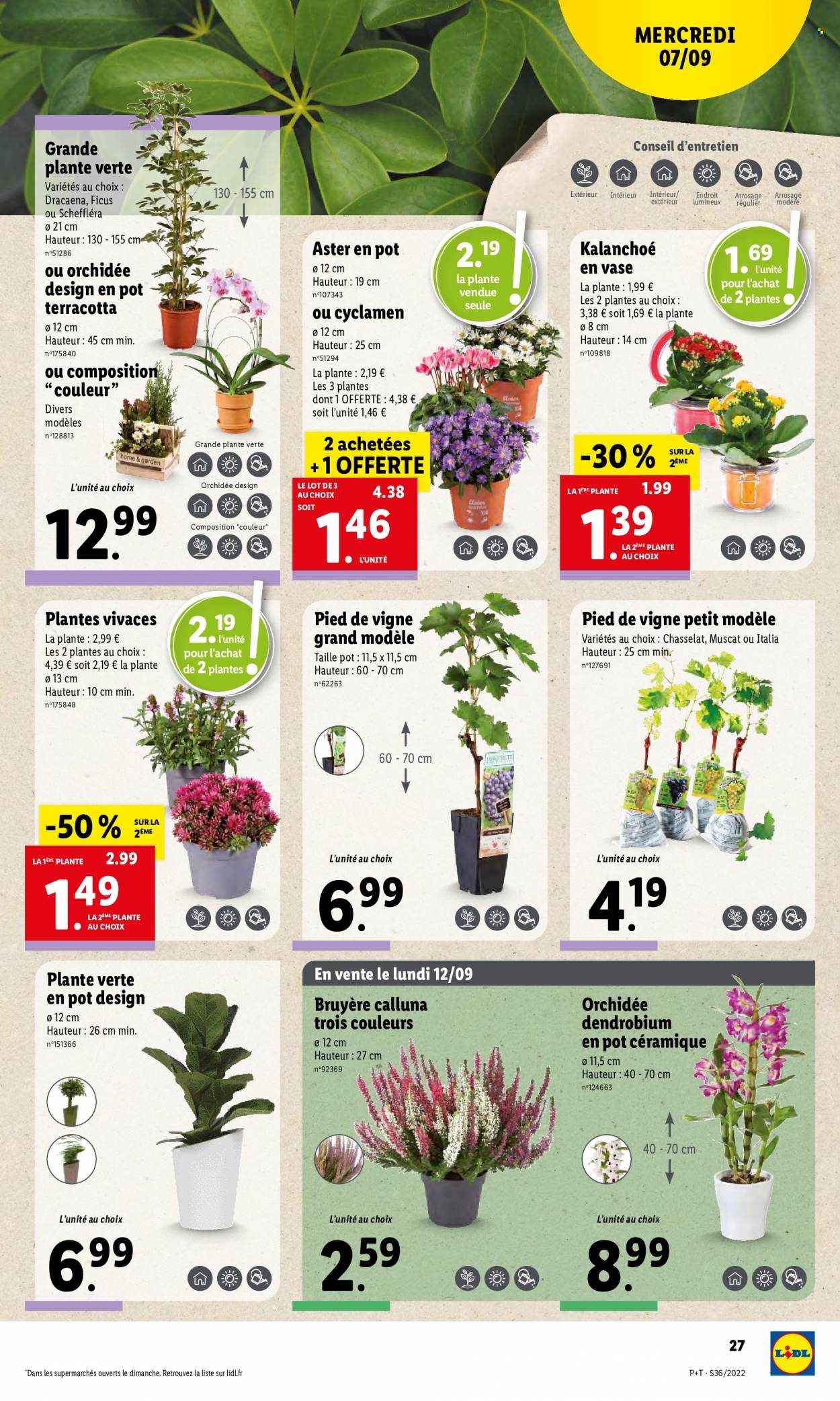 Catalogue Lidl - 07/09/2022 - 13/09/2022. Page 29