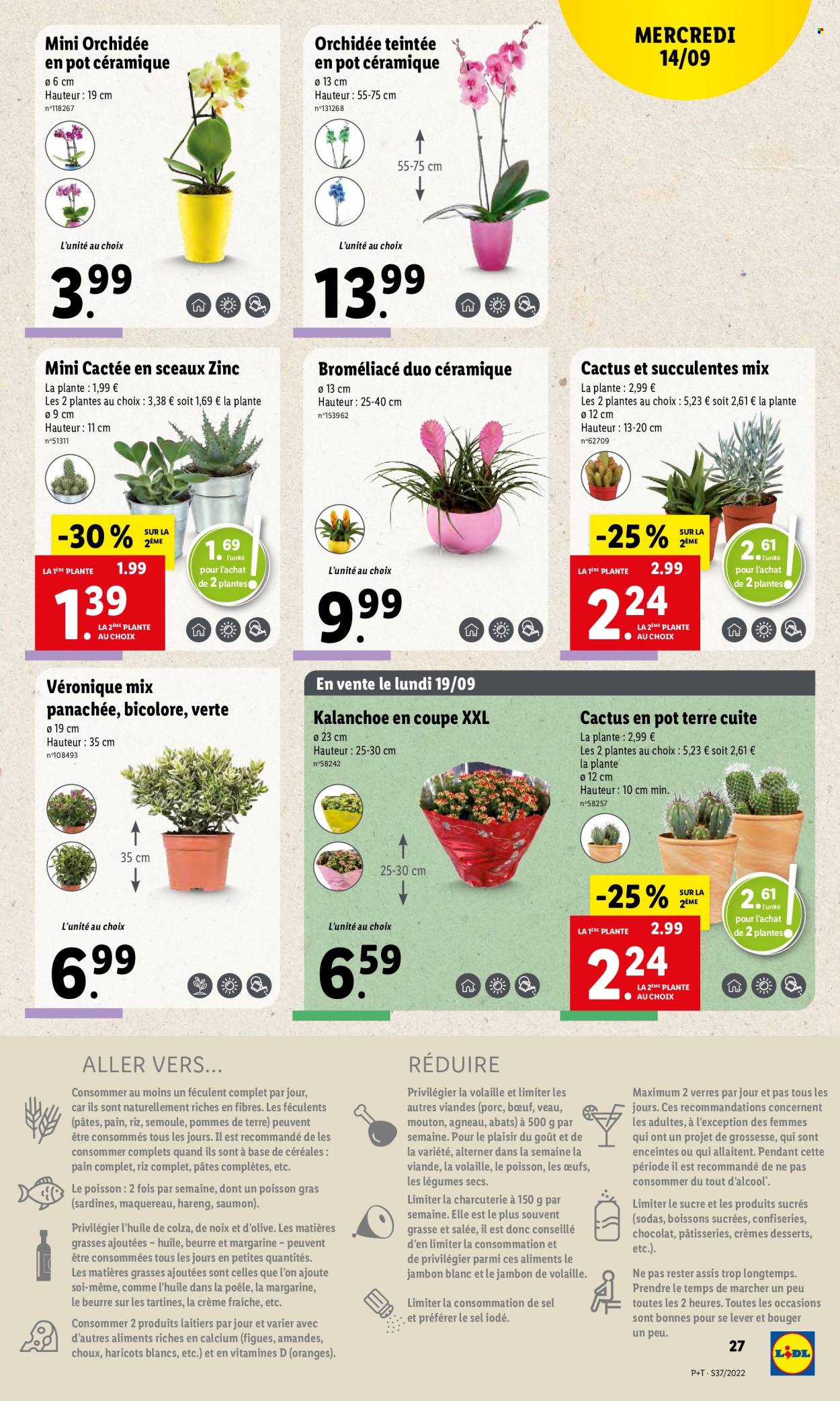 Catalogue Lidl - 14/09/2022 - 20/09/2022. Page 29