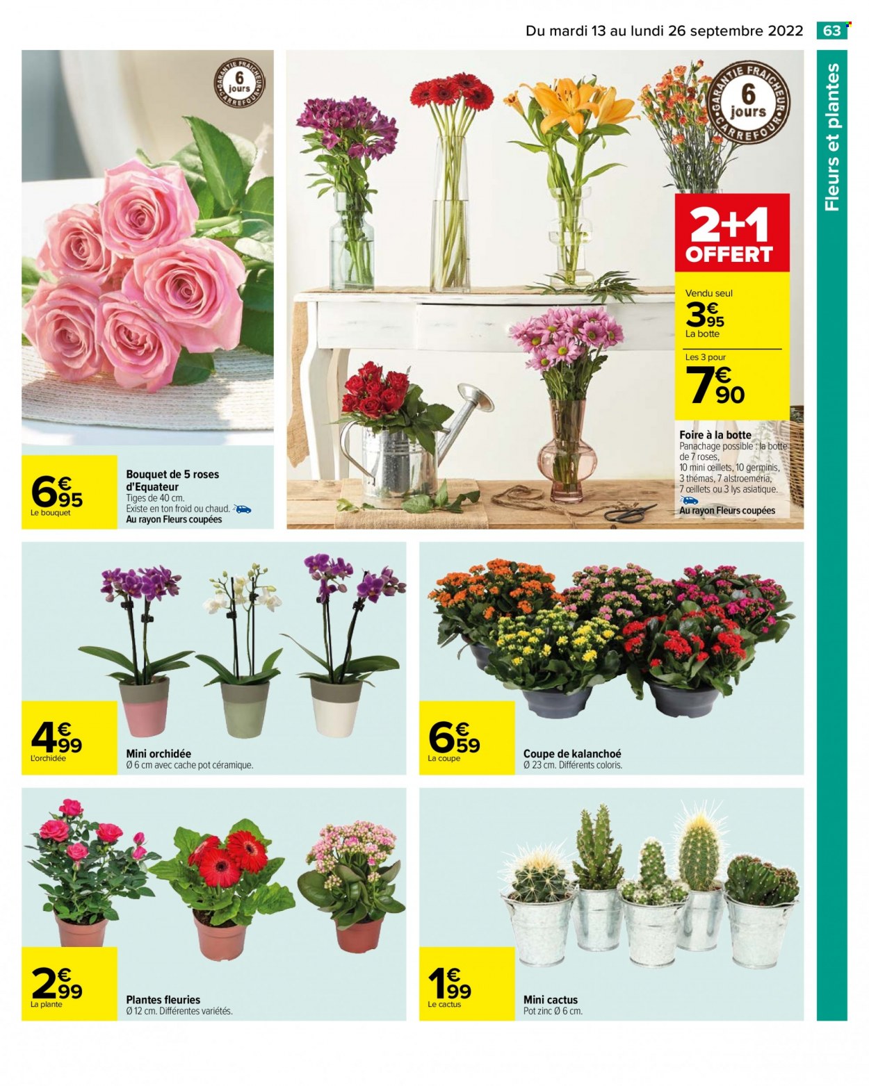 Catalogue Carrefour Hypermarchés - 13/09/2022 - 26/09/2022. Page 65