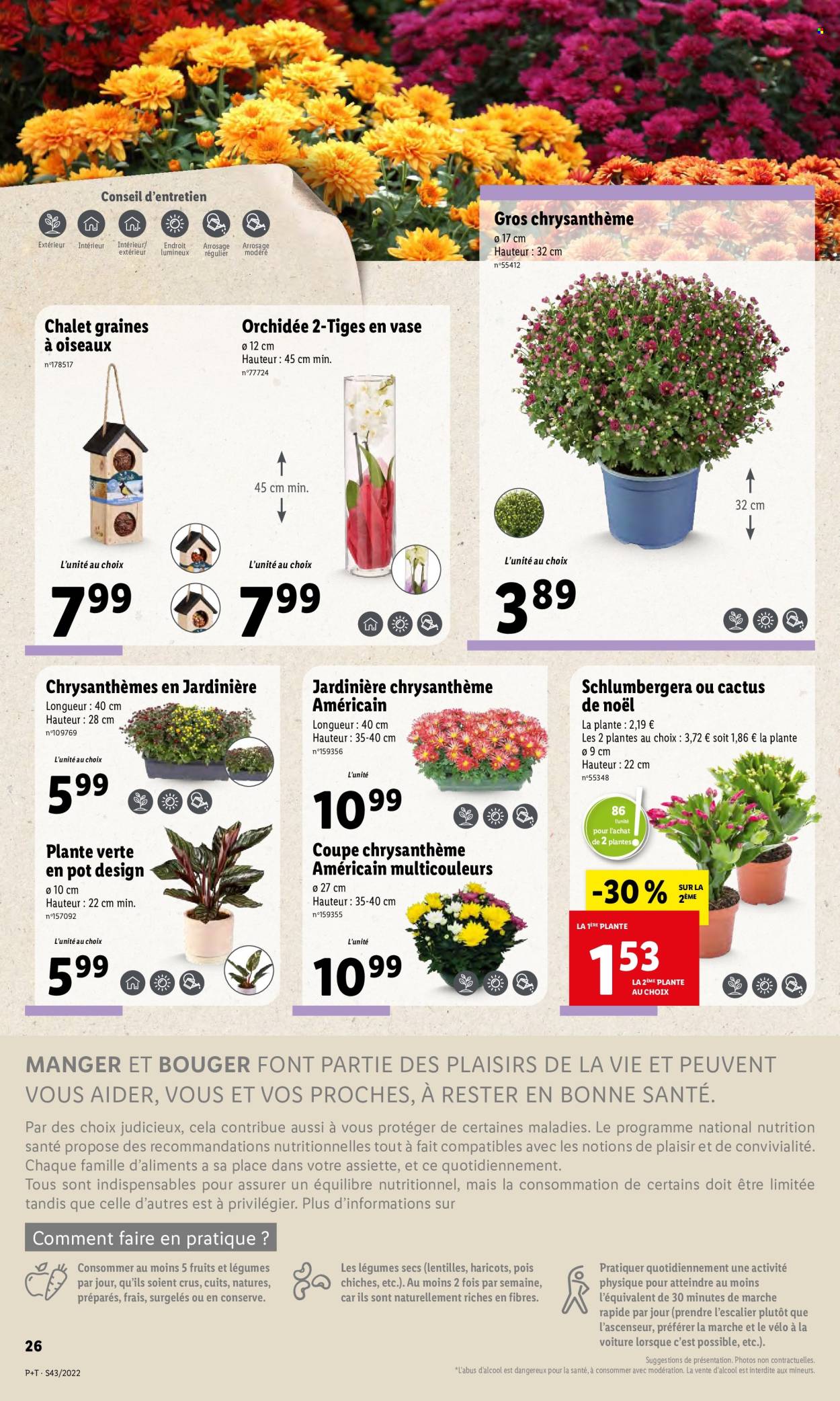 Catalogue Lidl - 26/10/2022 - 01/11/2022. Page 26
