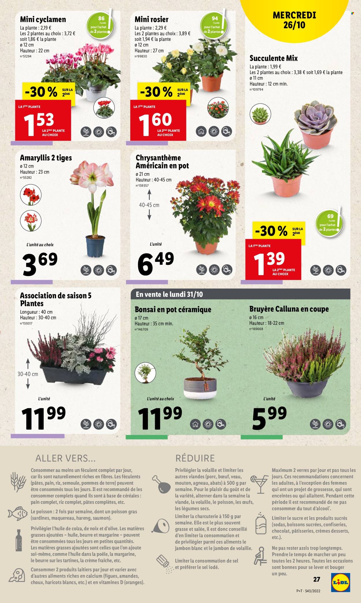 Catalogue Lidl - 26/10/2022 - 01/11/2022. Page 27