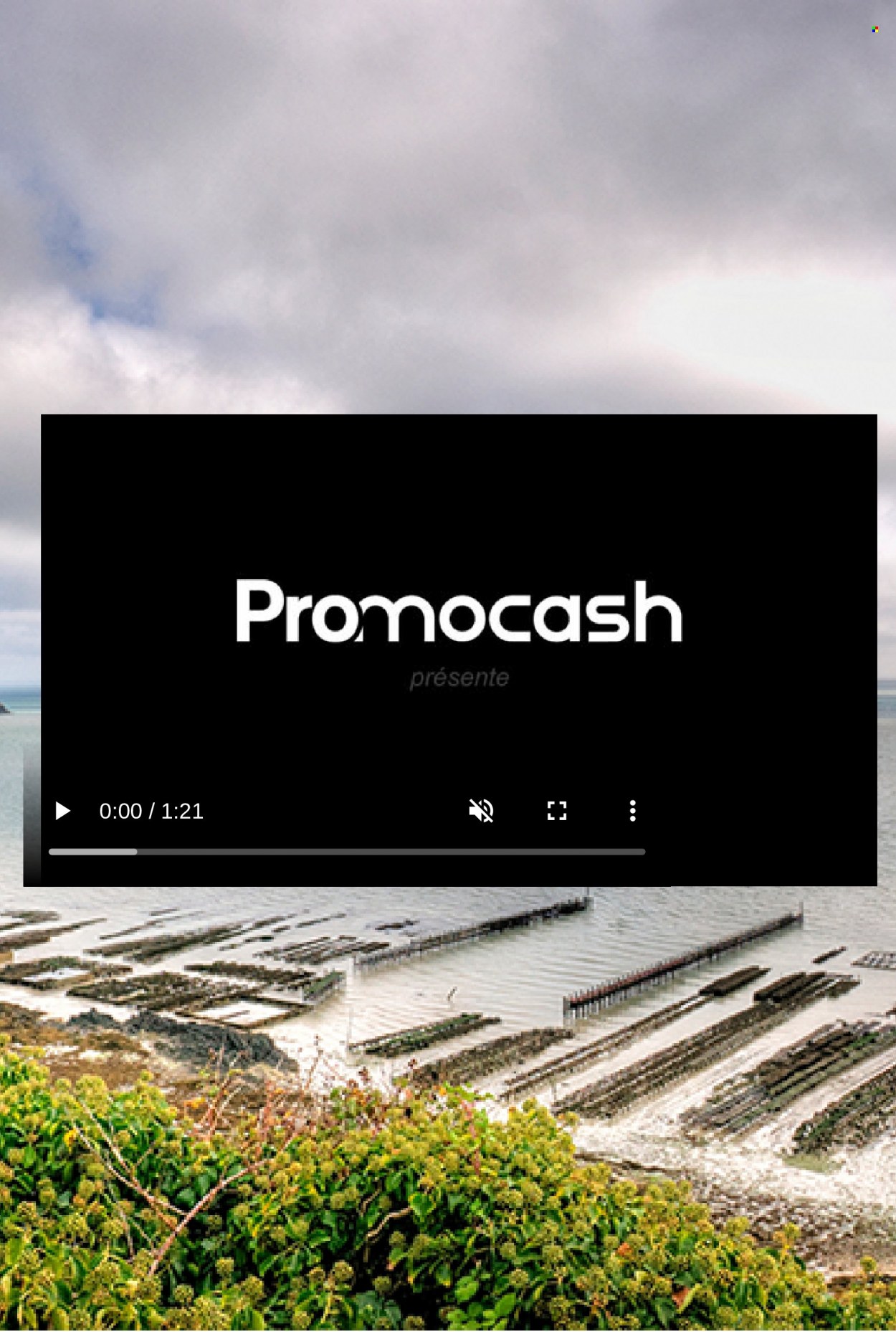 Catalogue Promocash - 20/10/2022 - 12/11/2022. Page 5