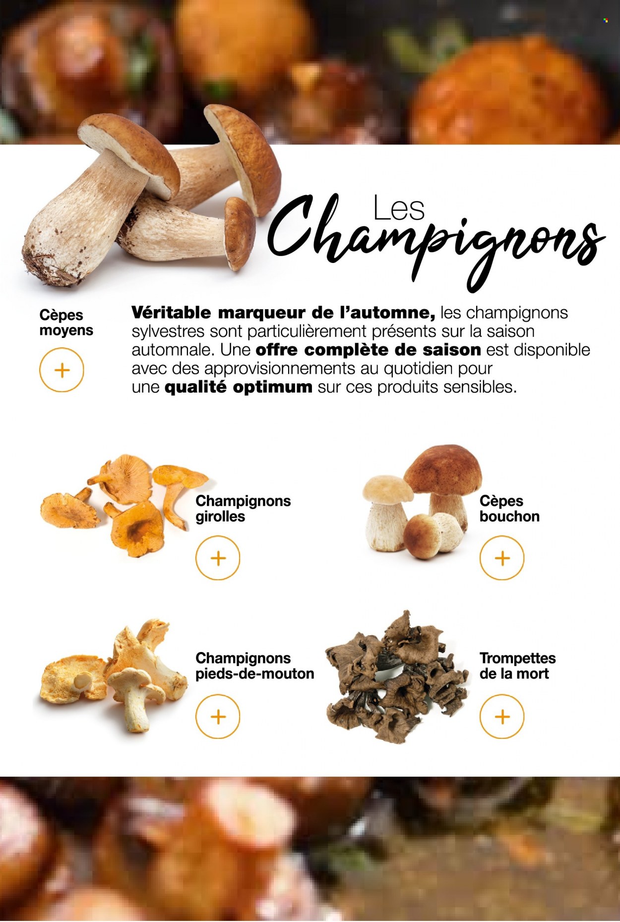 Catalogue Promocash - 20/10/2022 - 12/11/2022. Page 21
