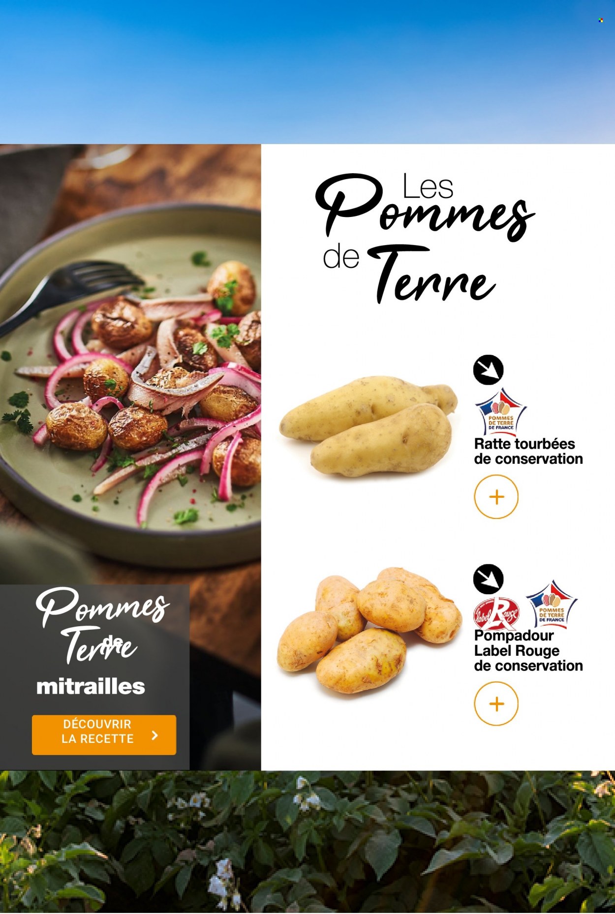 Catalogue Promocash - 20/10/2022 - 12/11/2022. Page 23